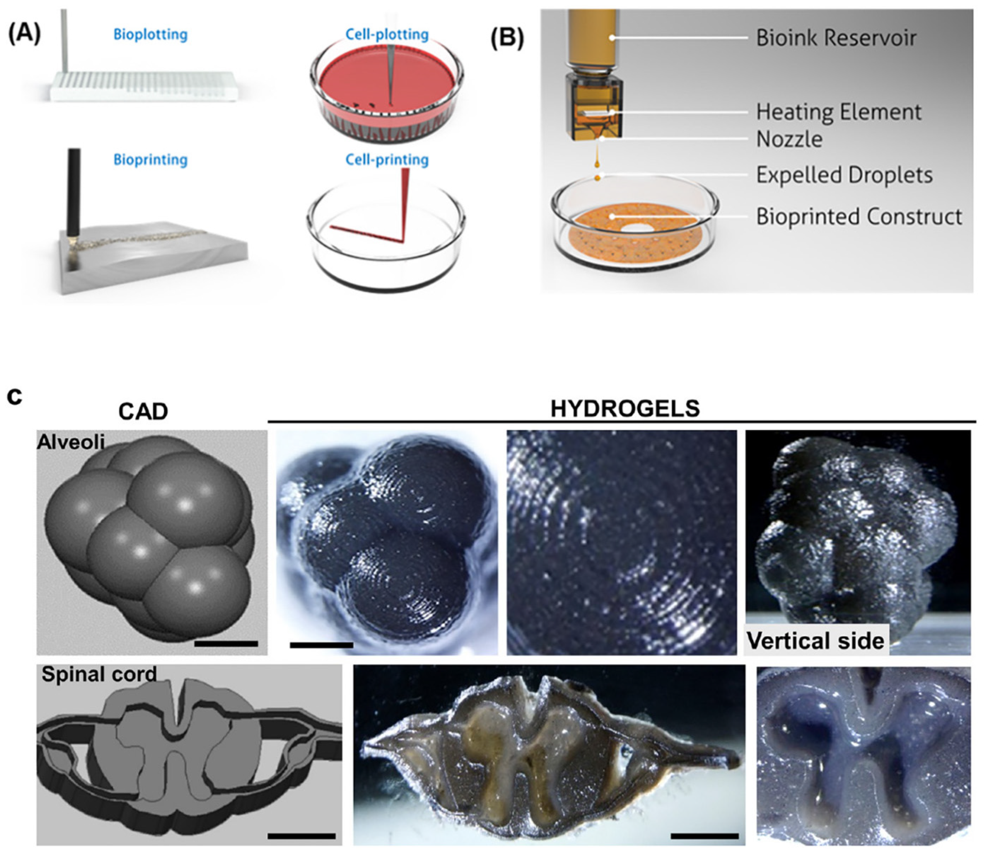 Molecules 27 02757 g008 550