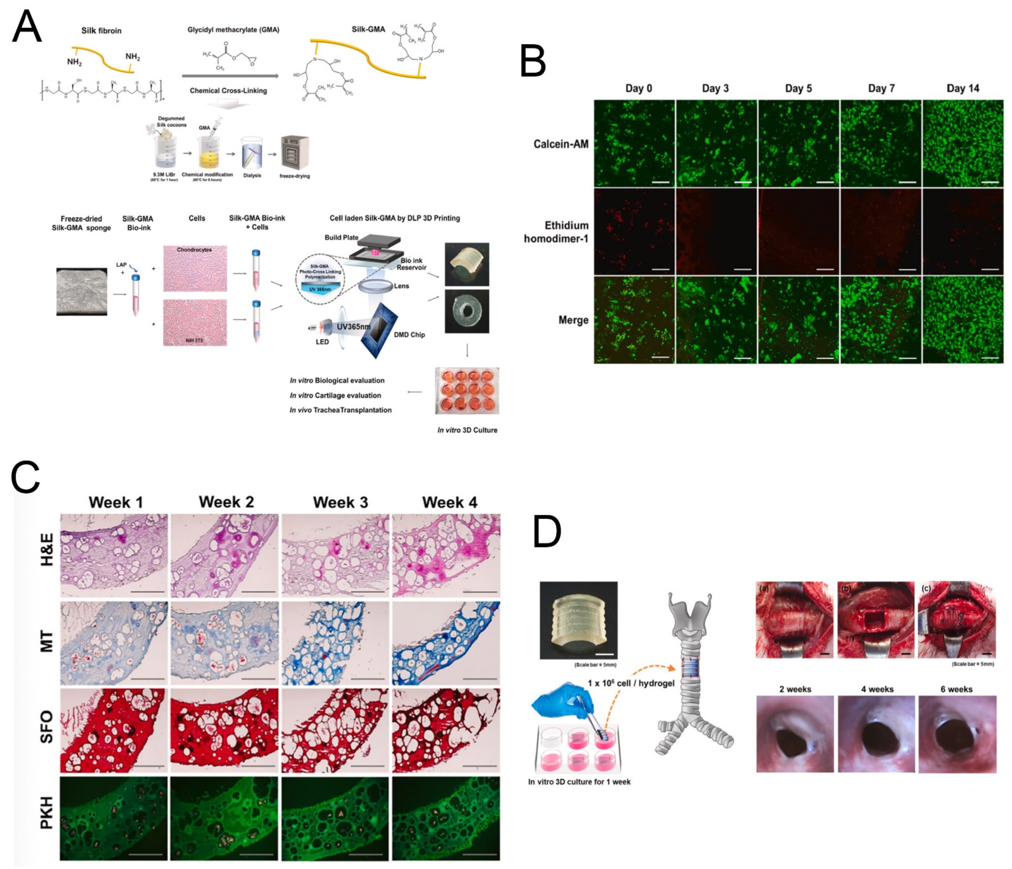 Molecules 27 02757 g010 550