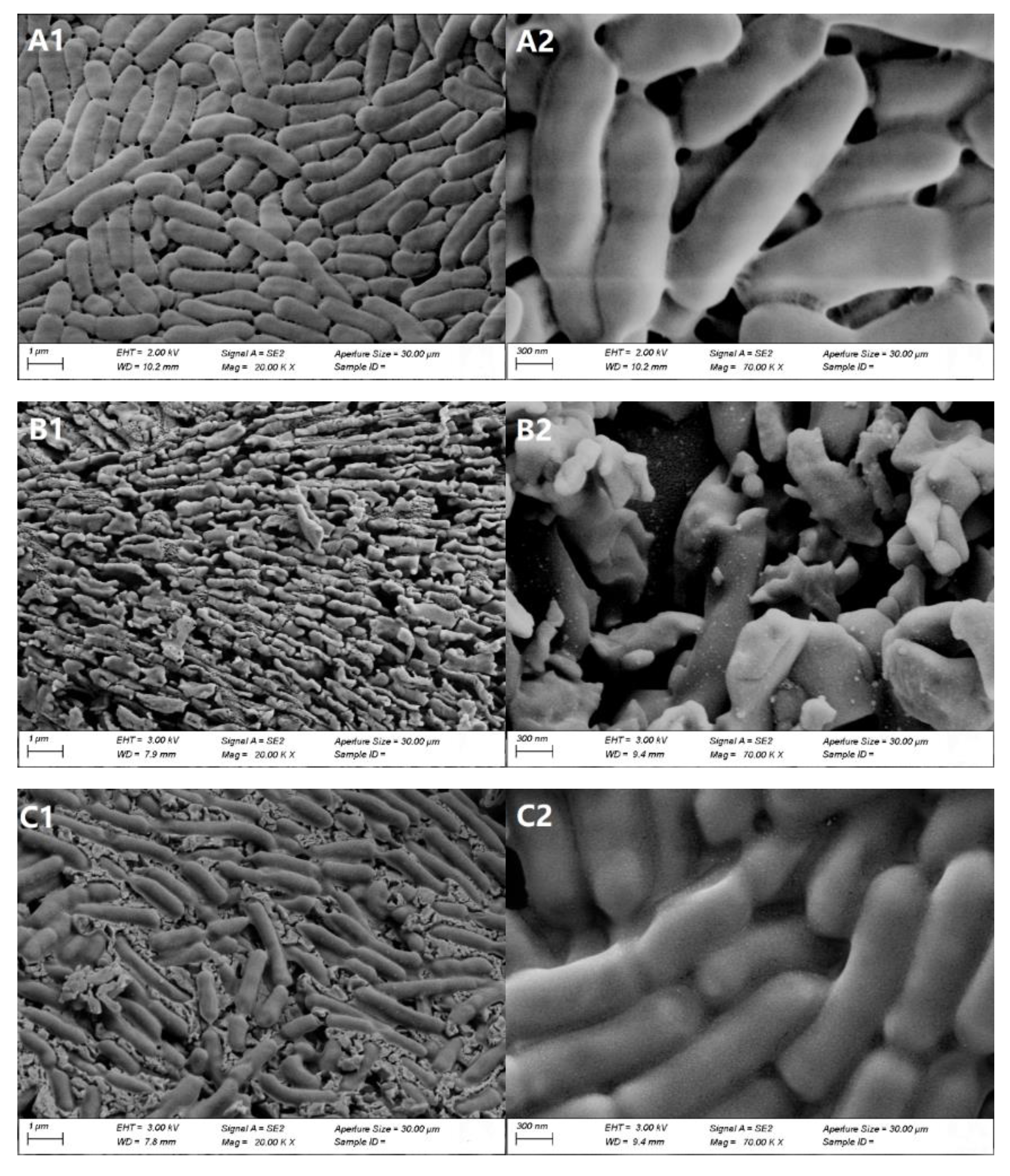 Molecules 27 02771 g006