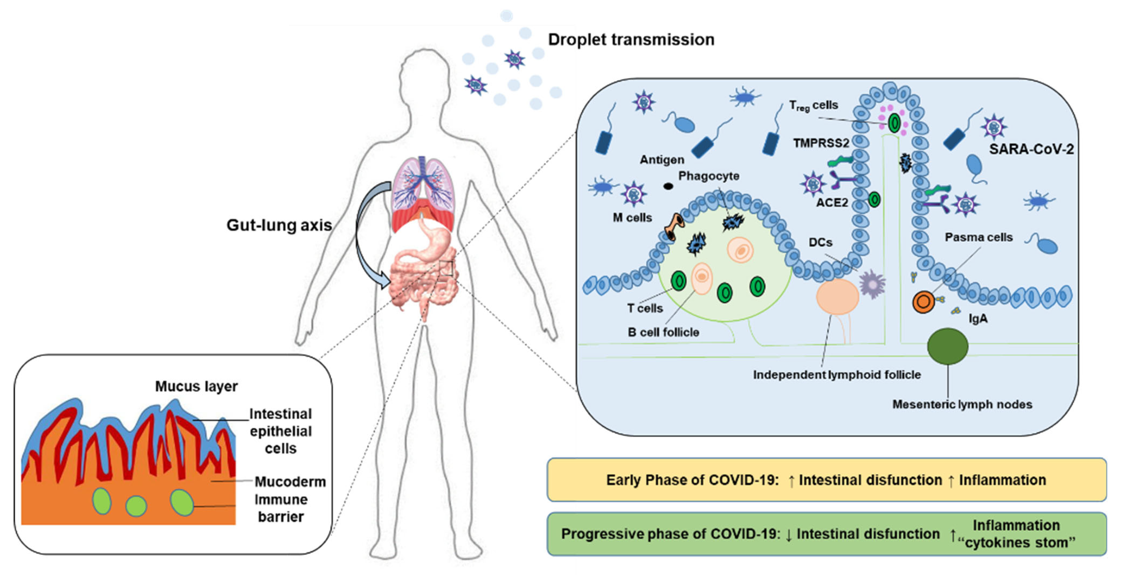 Molecules 27 02773 g001 Molecules 27 02773 g001