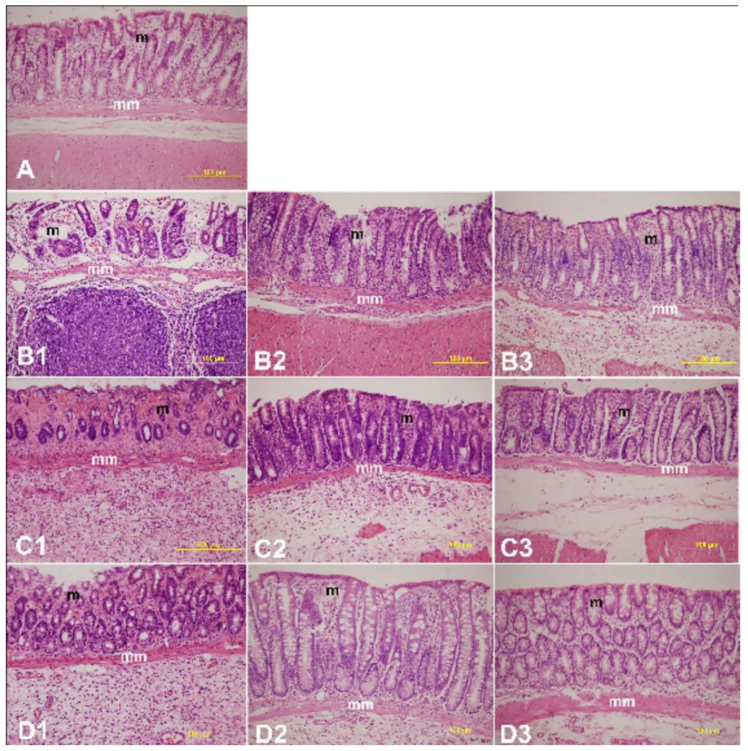 Molecules 27 02774 g004a 550