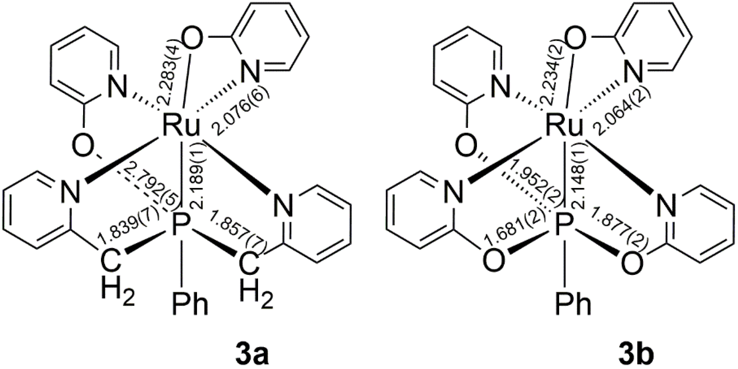 Molecules 27 02778 g002 550