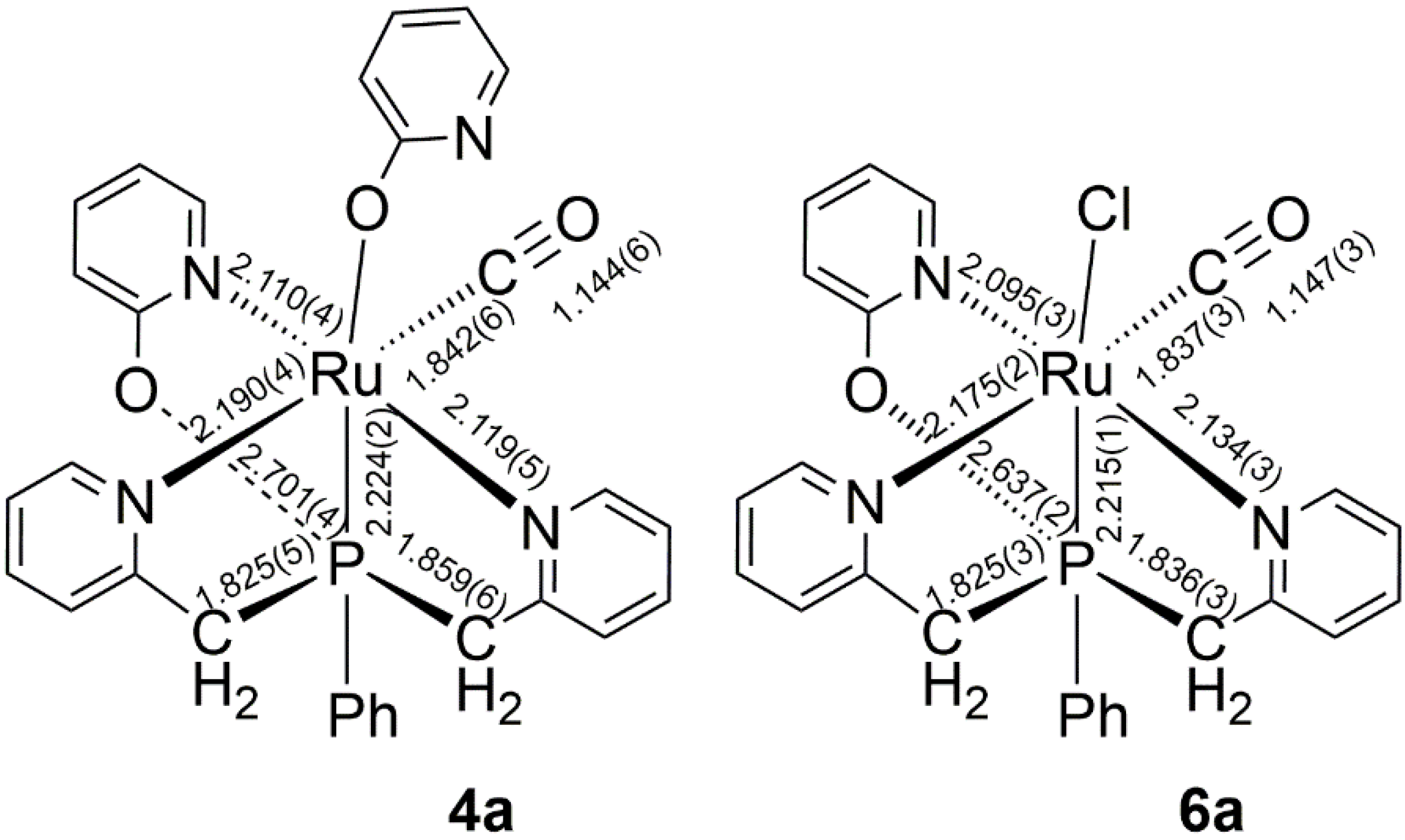 Molecules 27 02778 g004 550