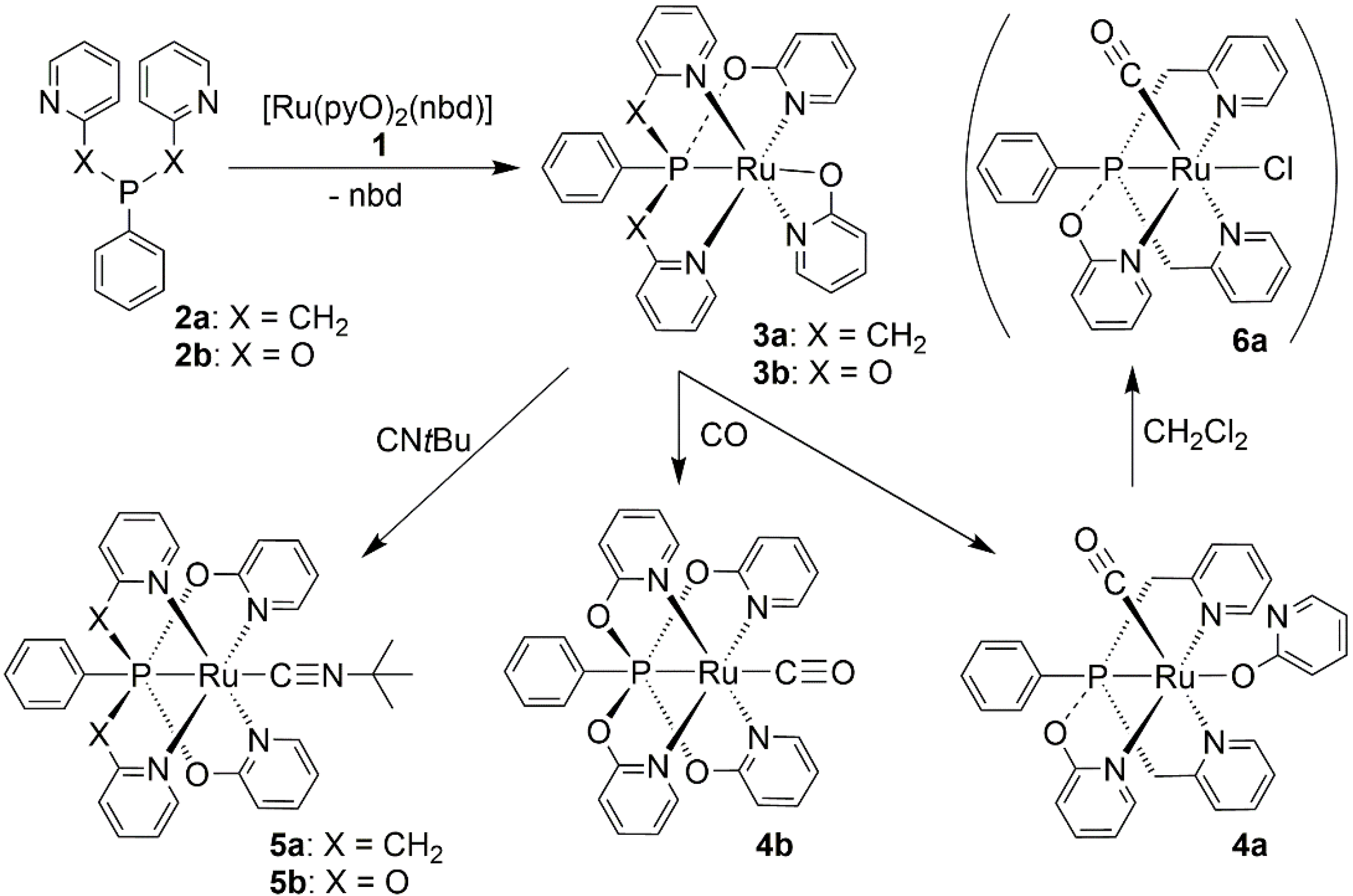 Molecules 27 02778 sch002 550