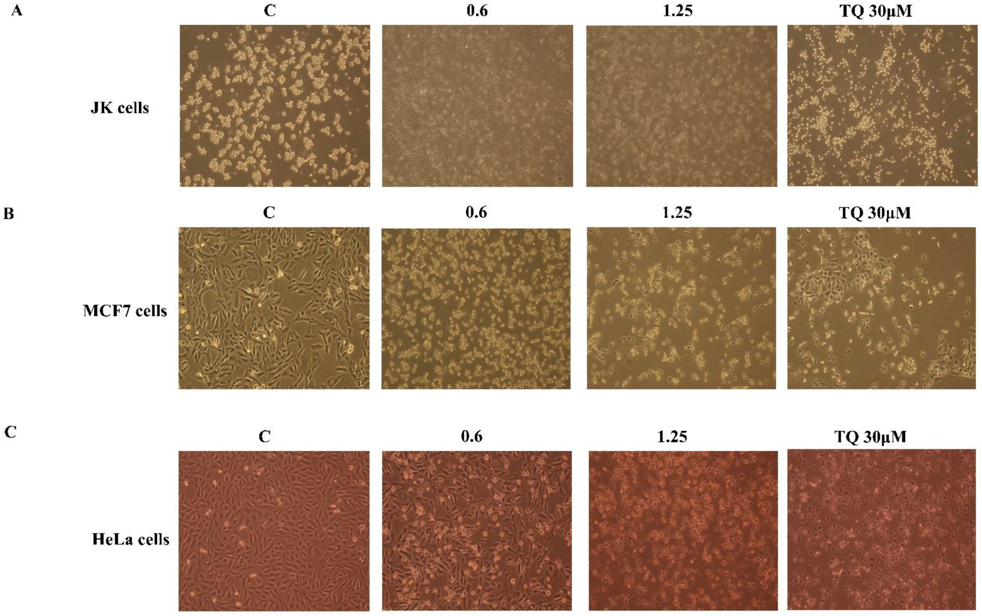 Molecules 27 02779 g005