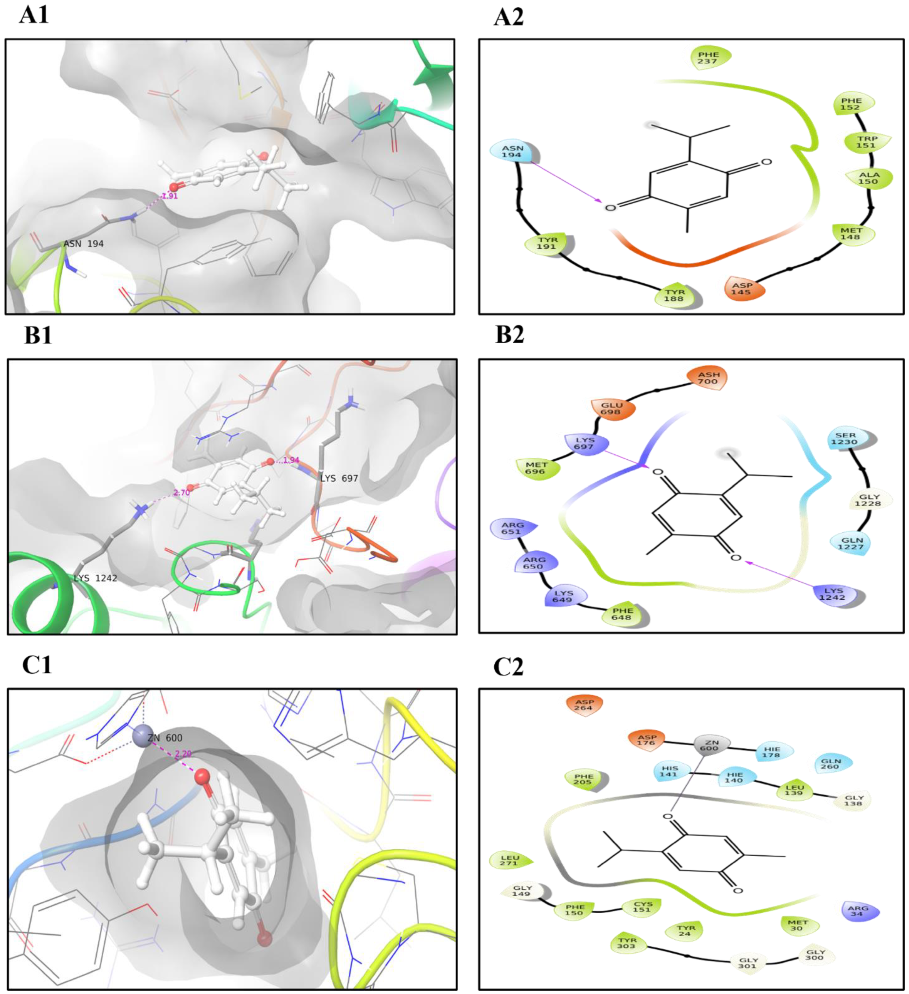Molecules 27 02779 g007