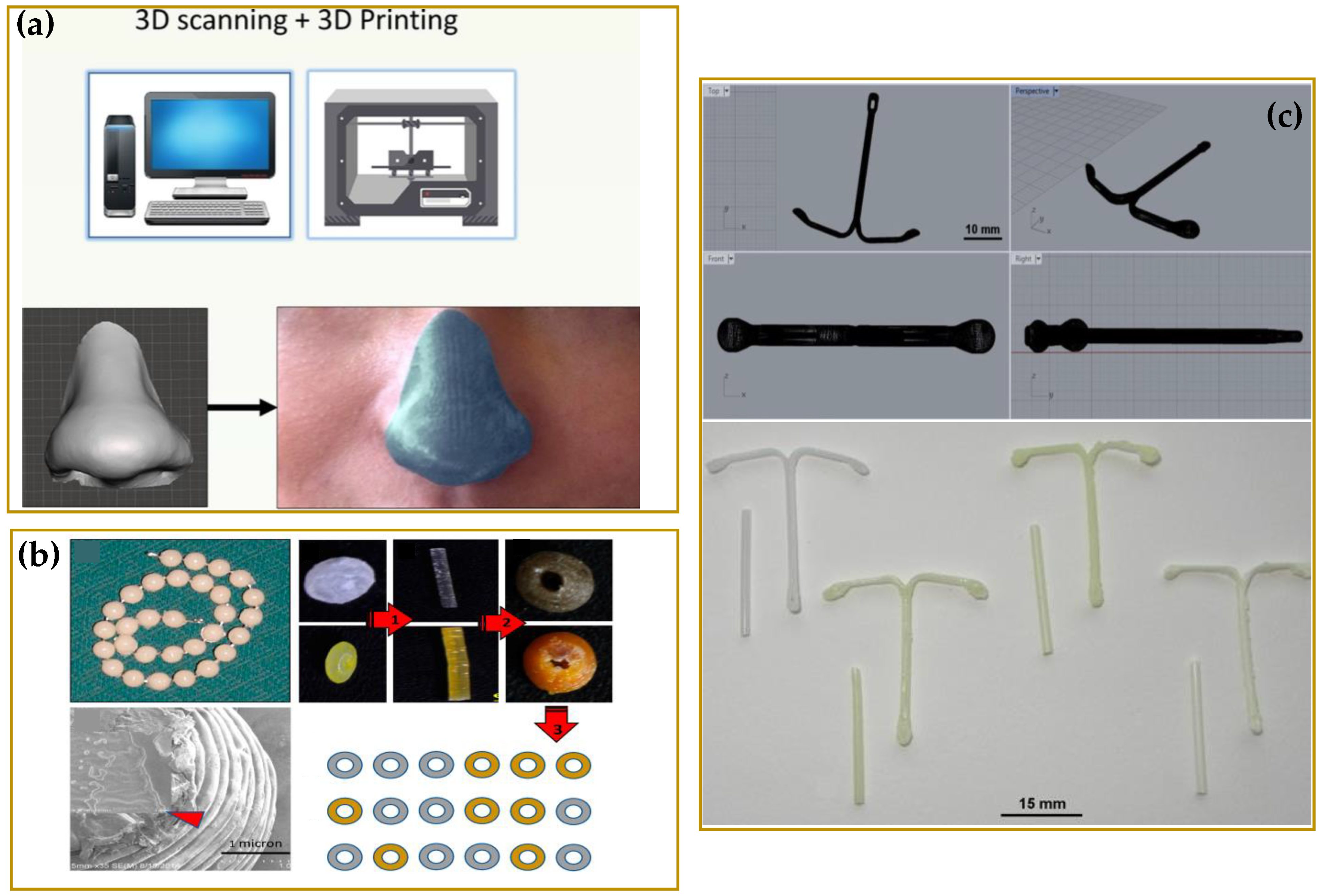 Molecules 27 02784 g014 550