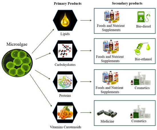 A rheological approach of seawater-based natural cosmetics with extracts  from sonicated medicinal herbs - ScienceDirect