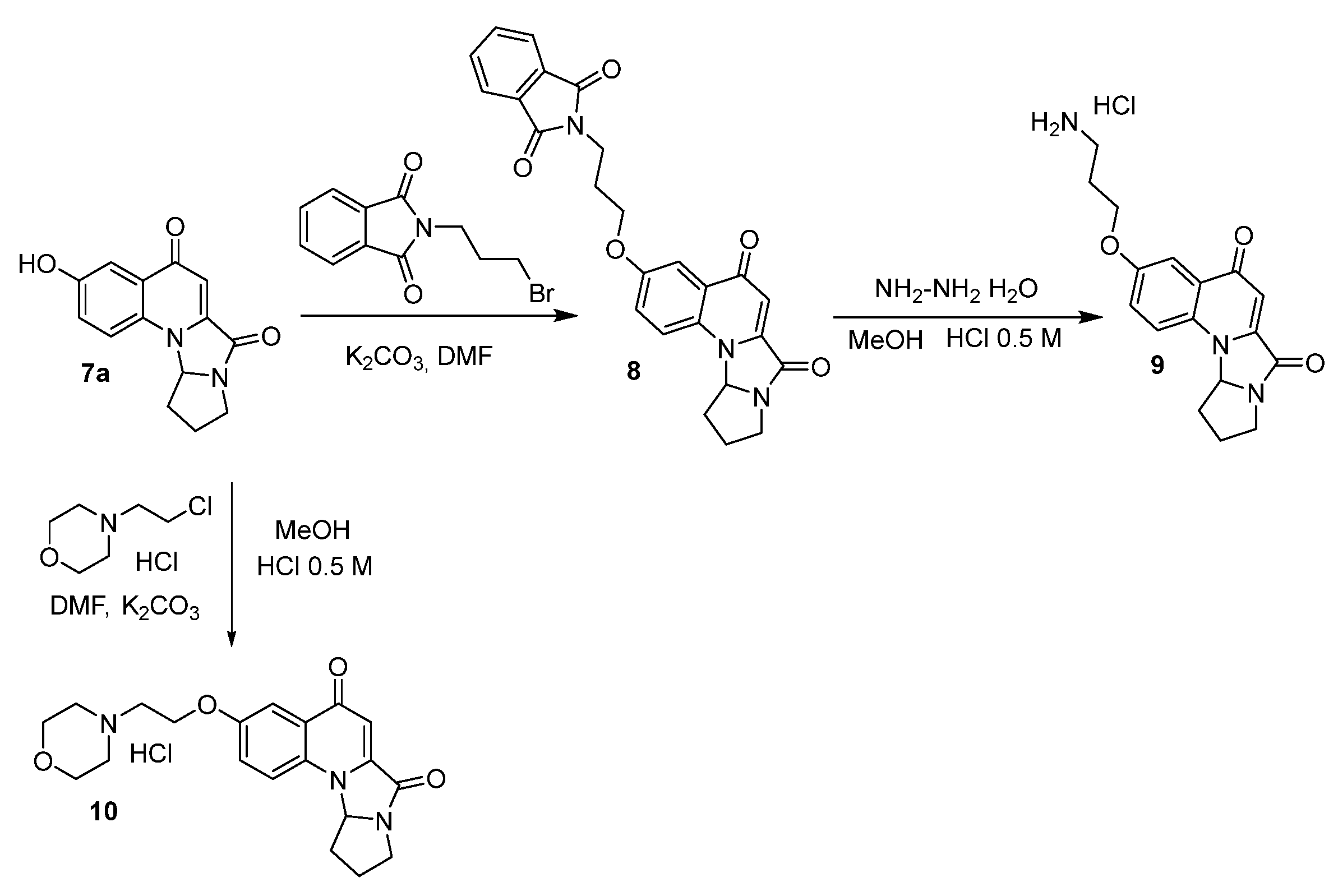 Molecules 27 02791 sch002