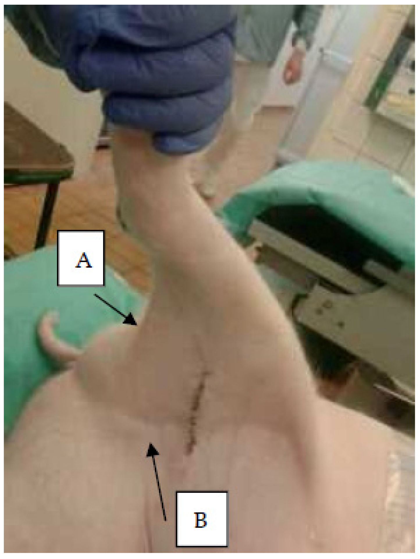 Molecules 27 02792 g001