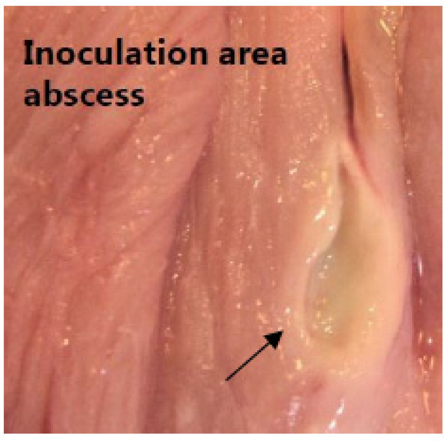 Molecules 27 02792 g003