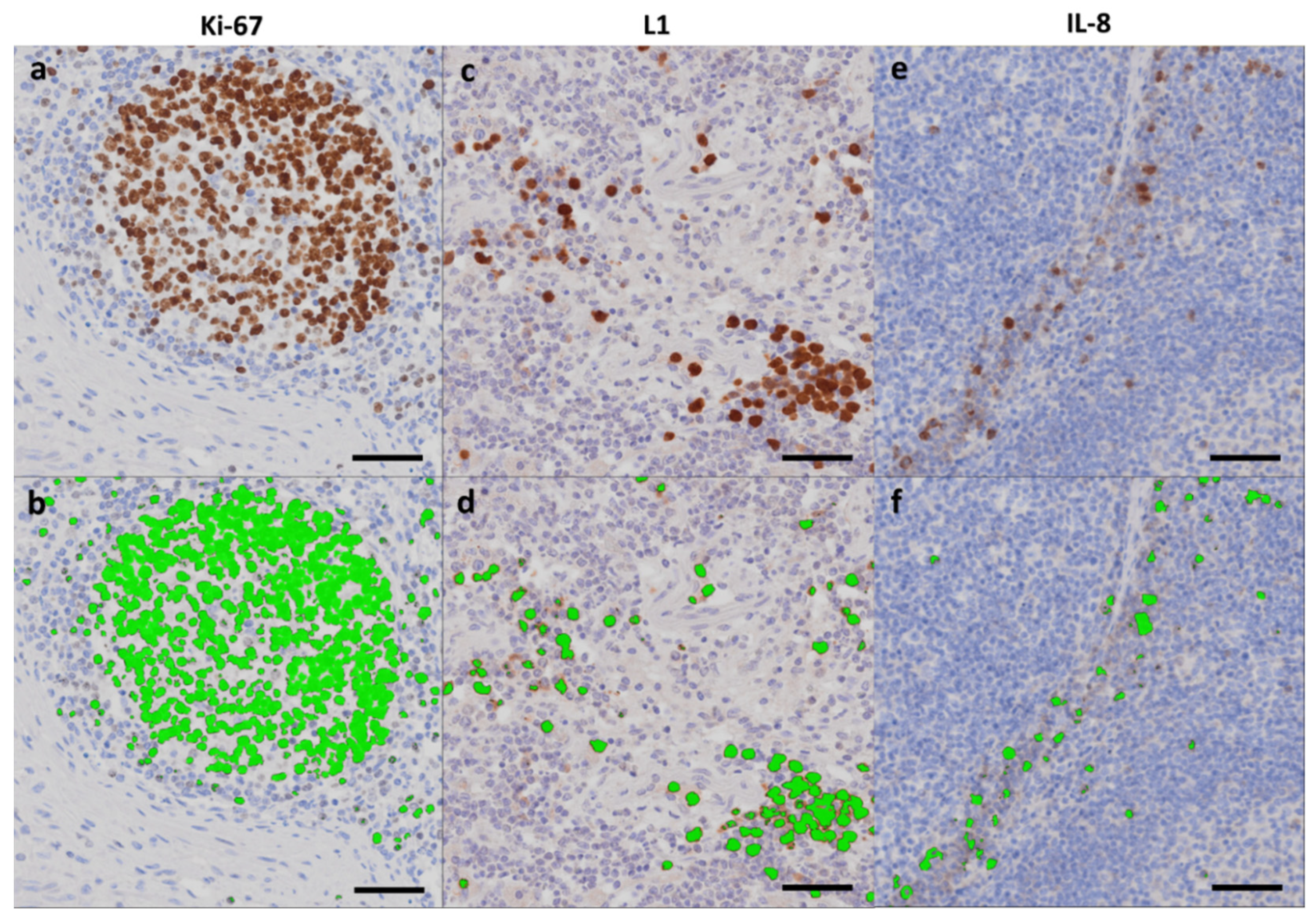 Molecules 27 02792 g004
