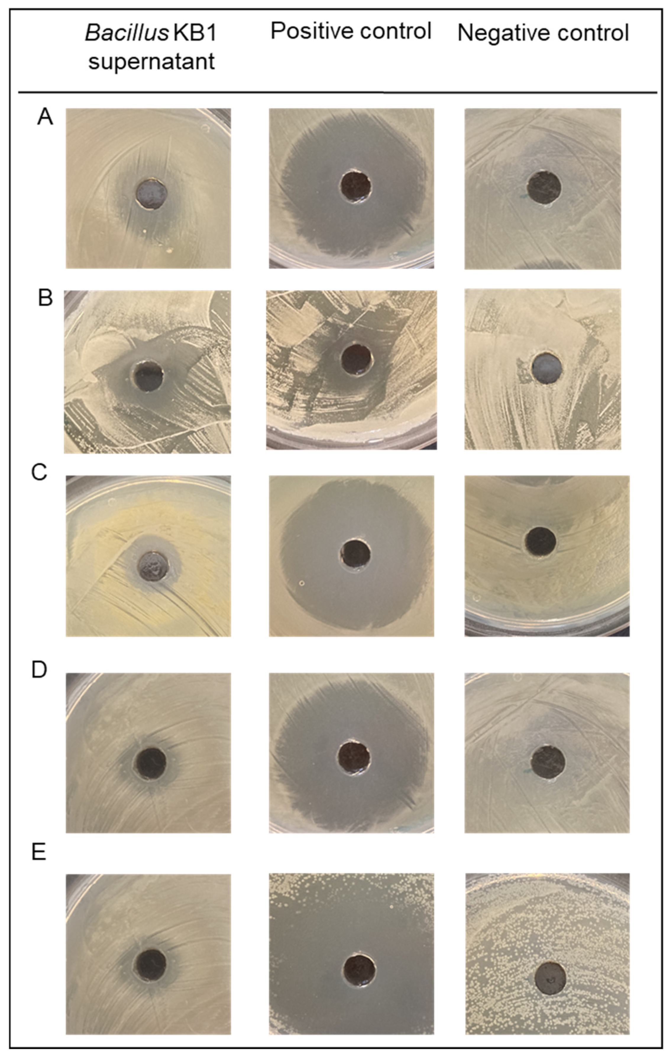 Molecules 27 02793 g002 550