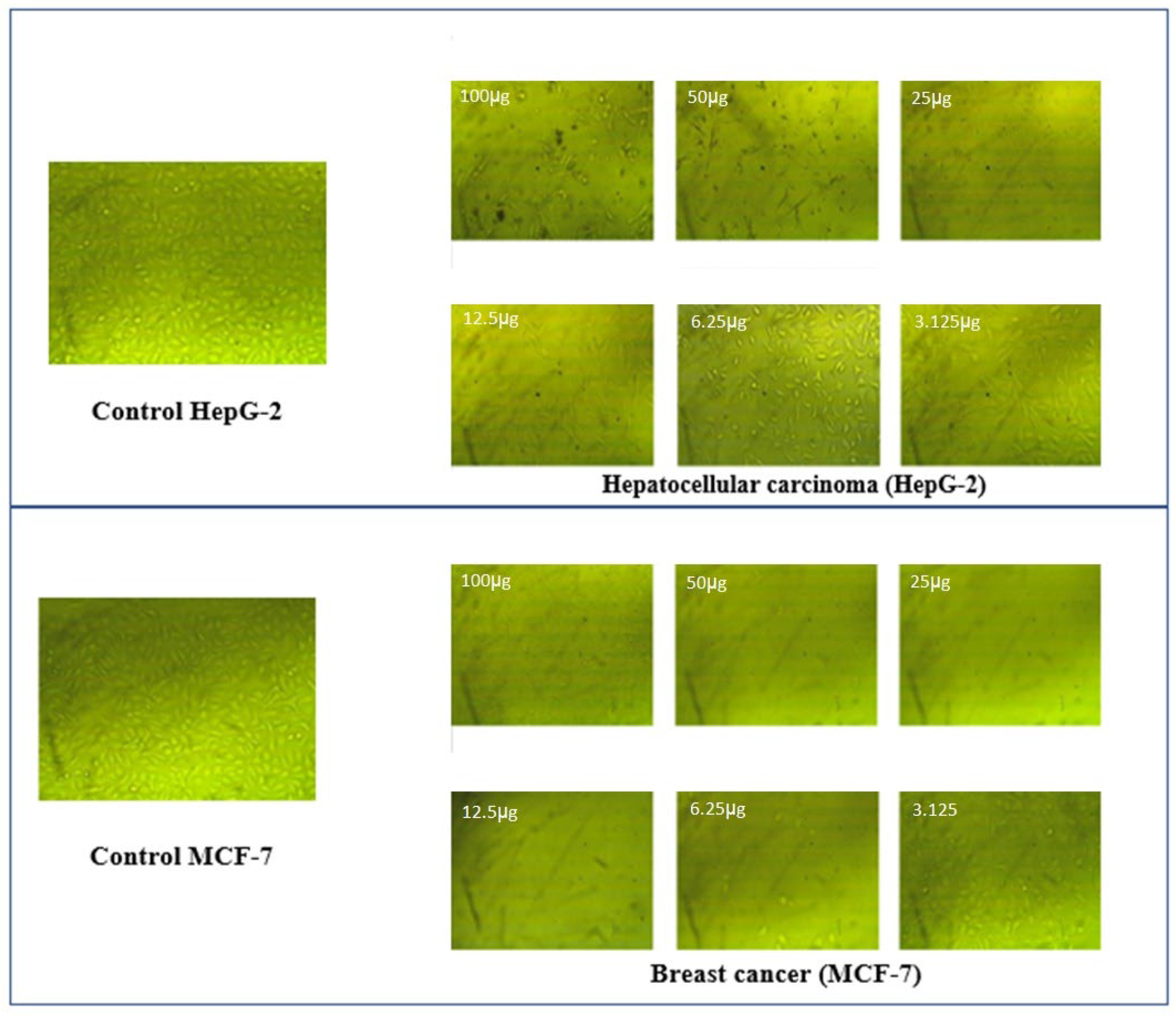 Molecules 27 02796 g010 550