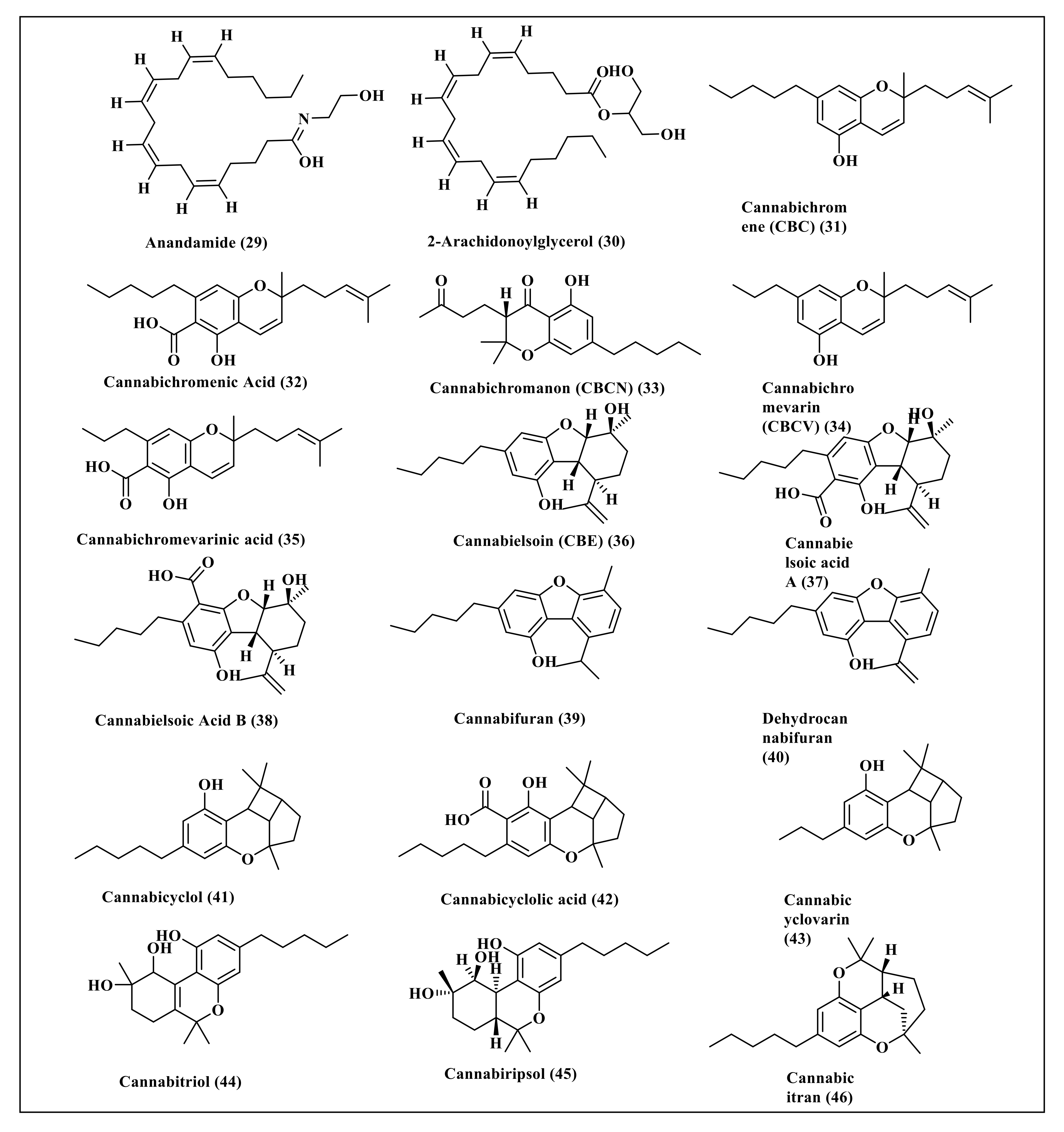 Molecules 27 02797 g002 550