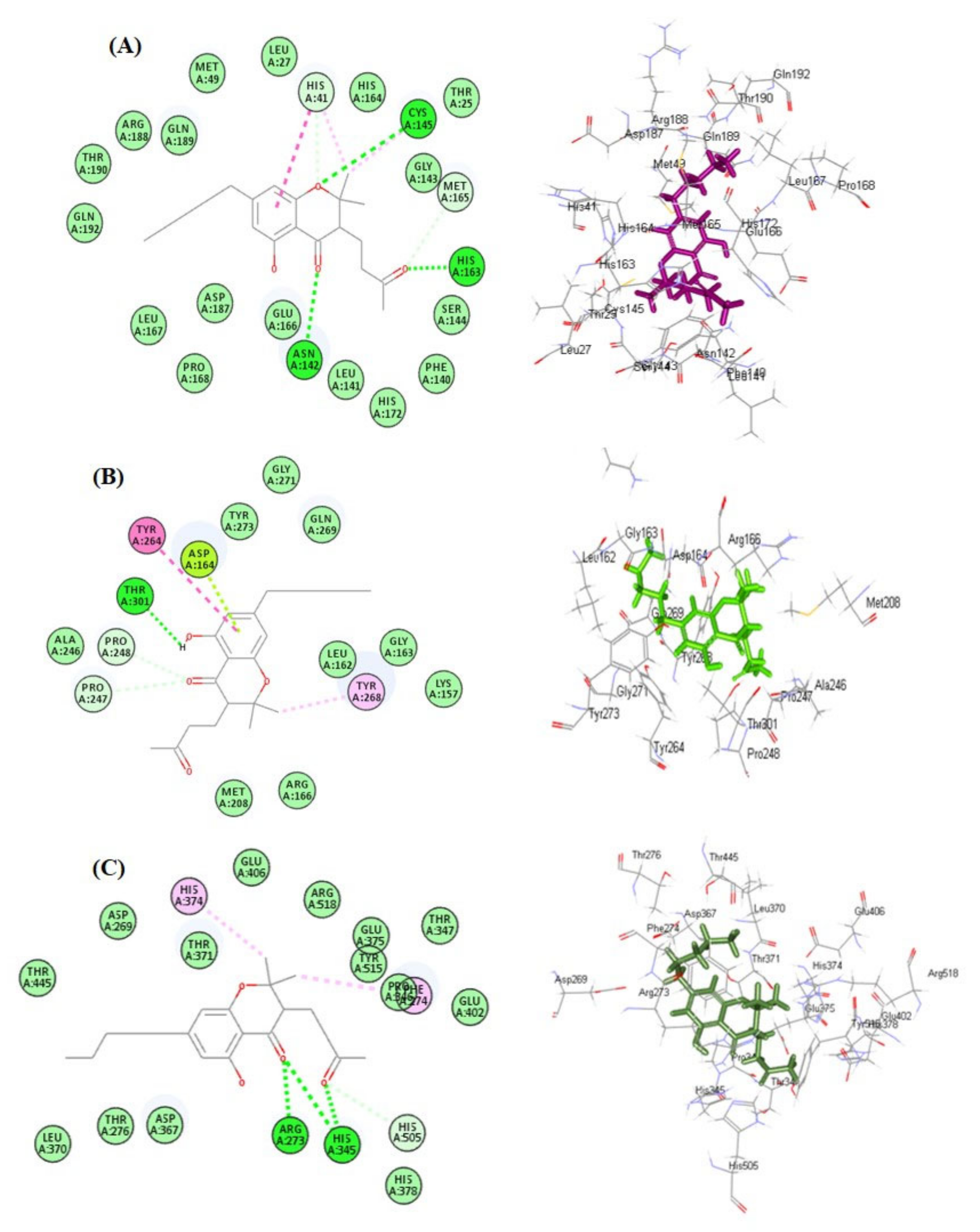 Molecules 27 02797 g003 550