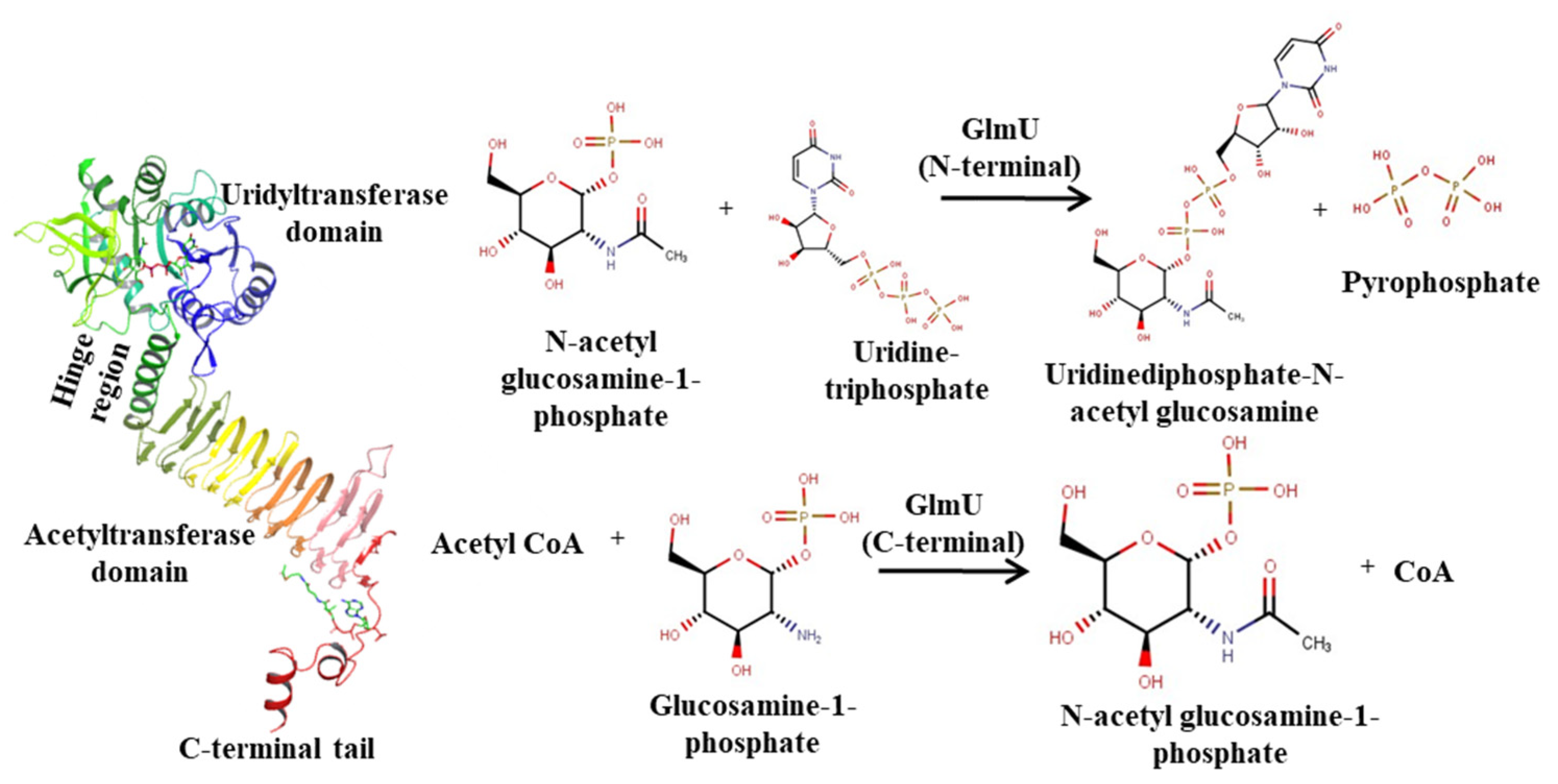 Molecules 27 02805 g001 Molecules 27 02805 g001