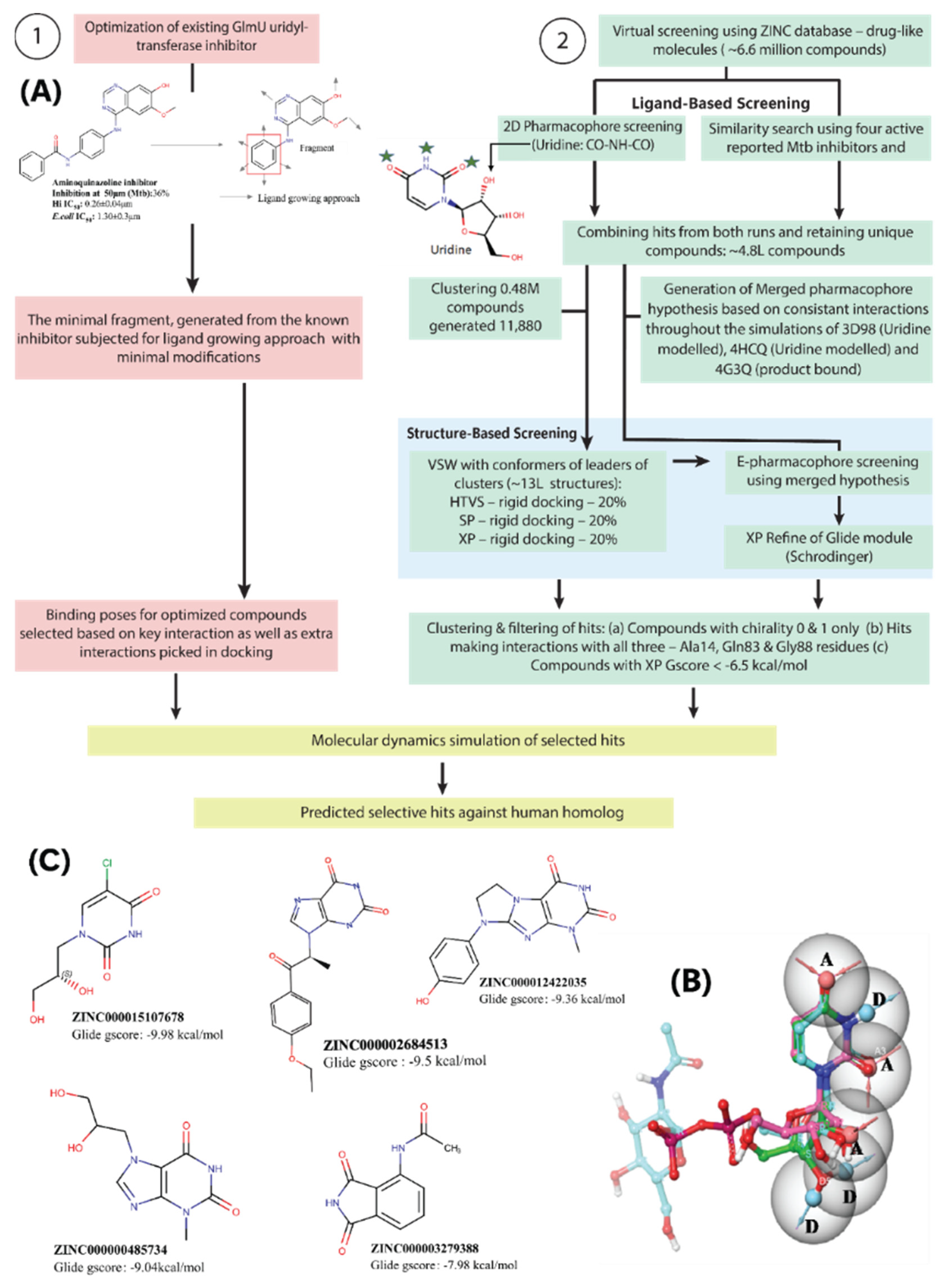 Molecules 27 02805 g004 Molecules 27 02805 g004