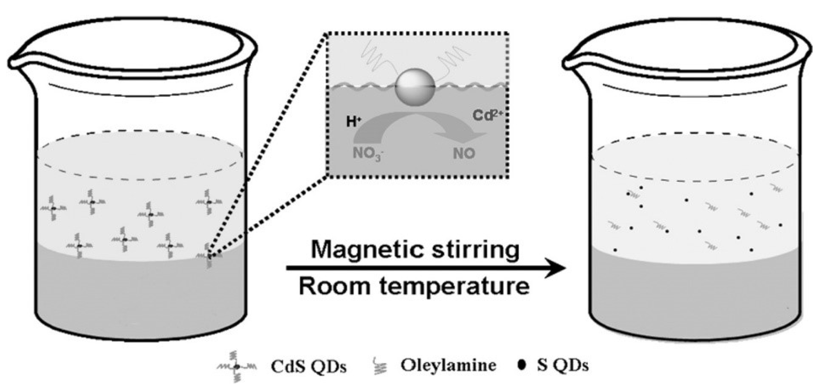 Molecules 27 02822 g001