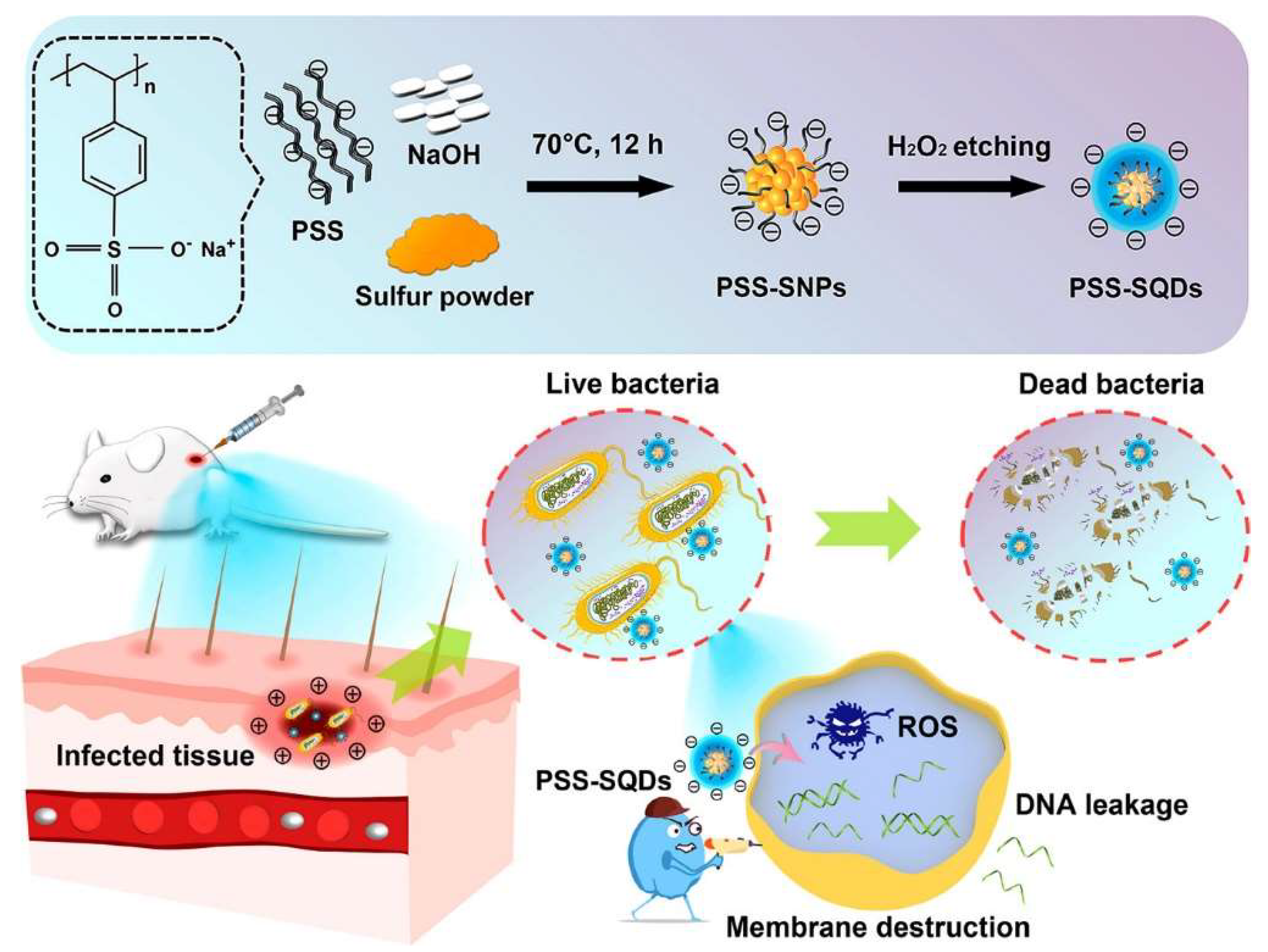 Molecules 27 02822 g003
