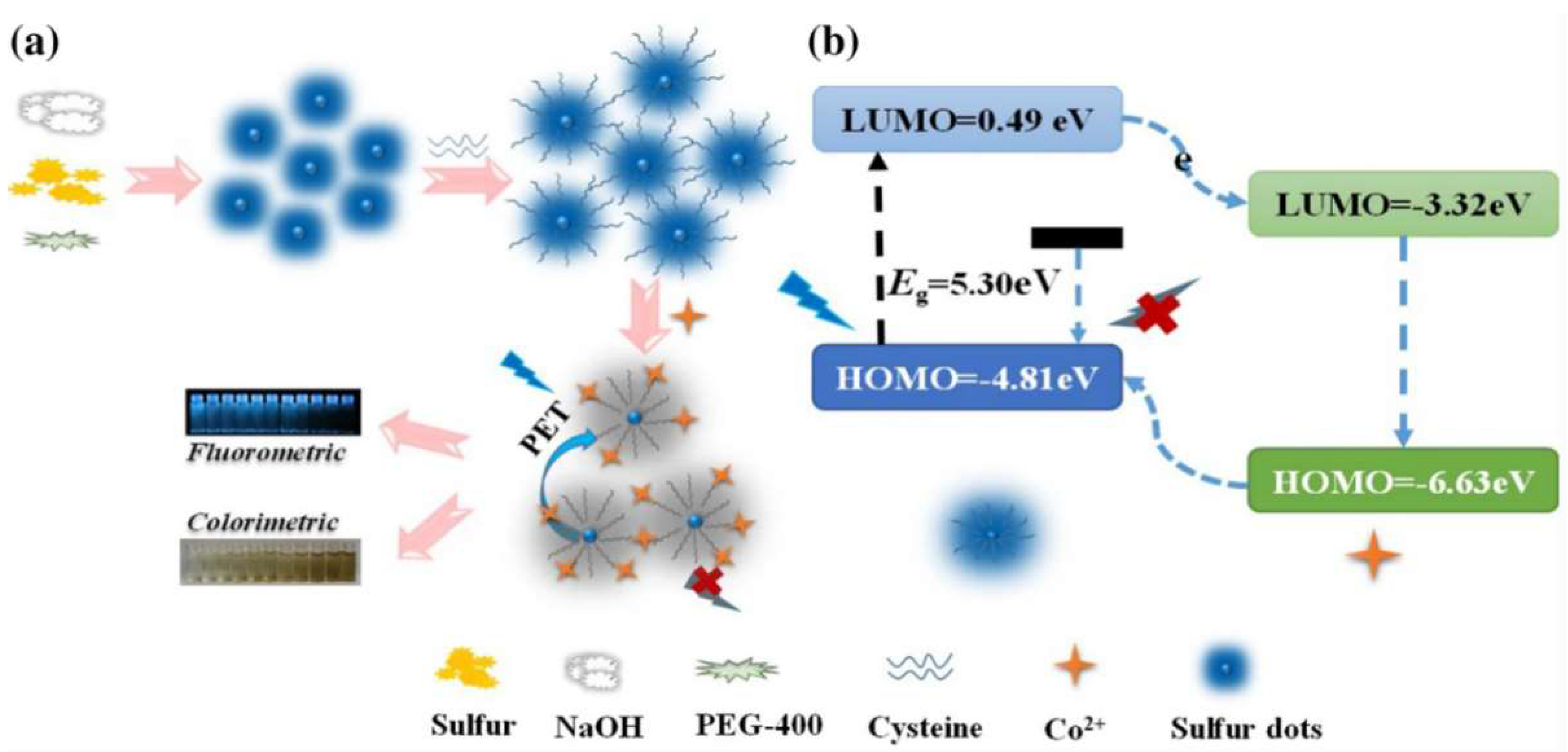 Molecules 27 02822 g008