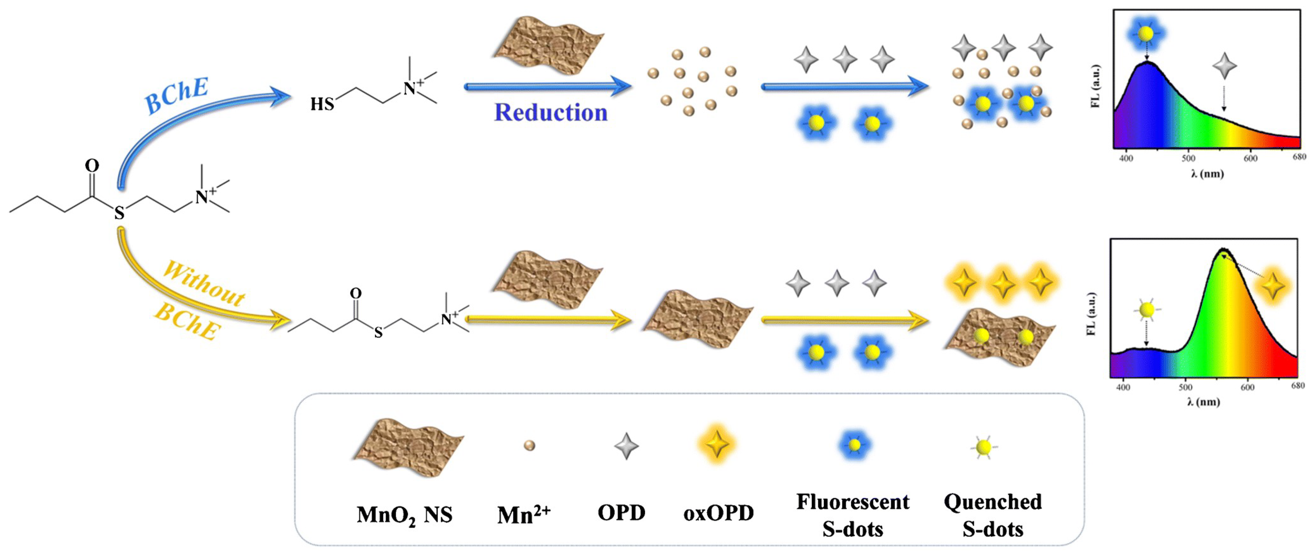 Molecules 27 02822 g009