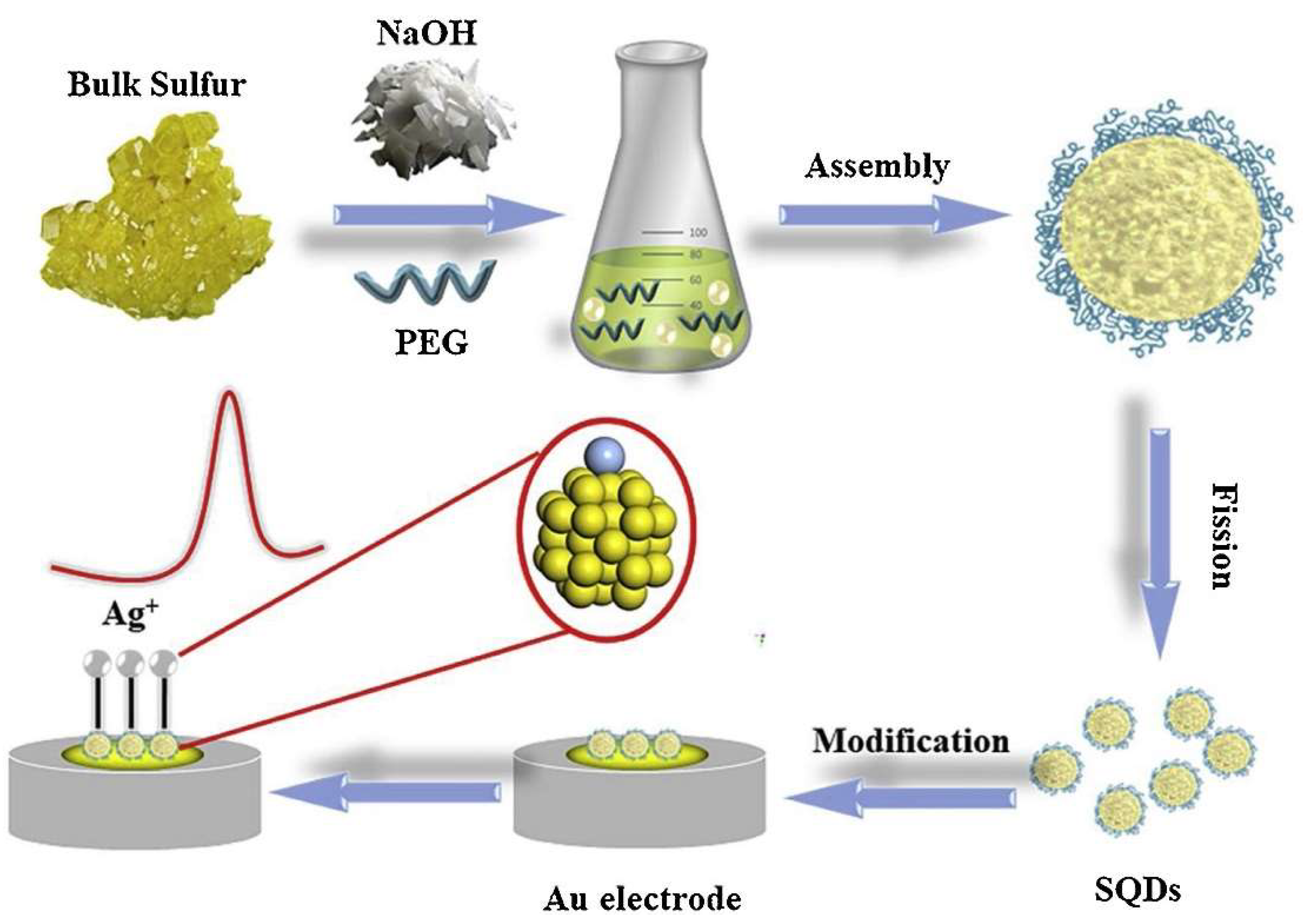 Molecules 27 02822 g010
