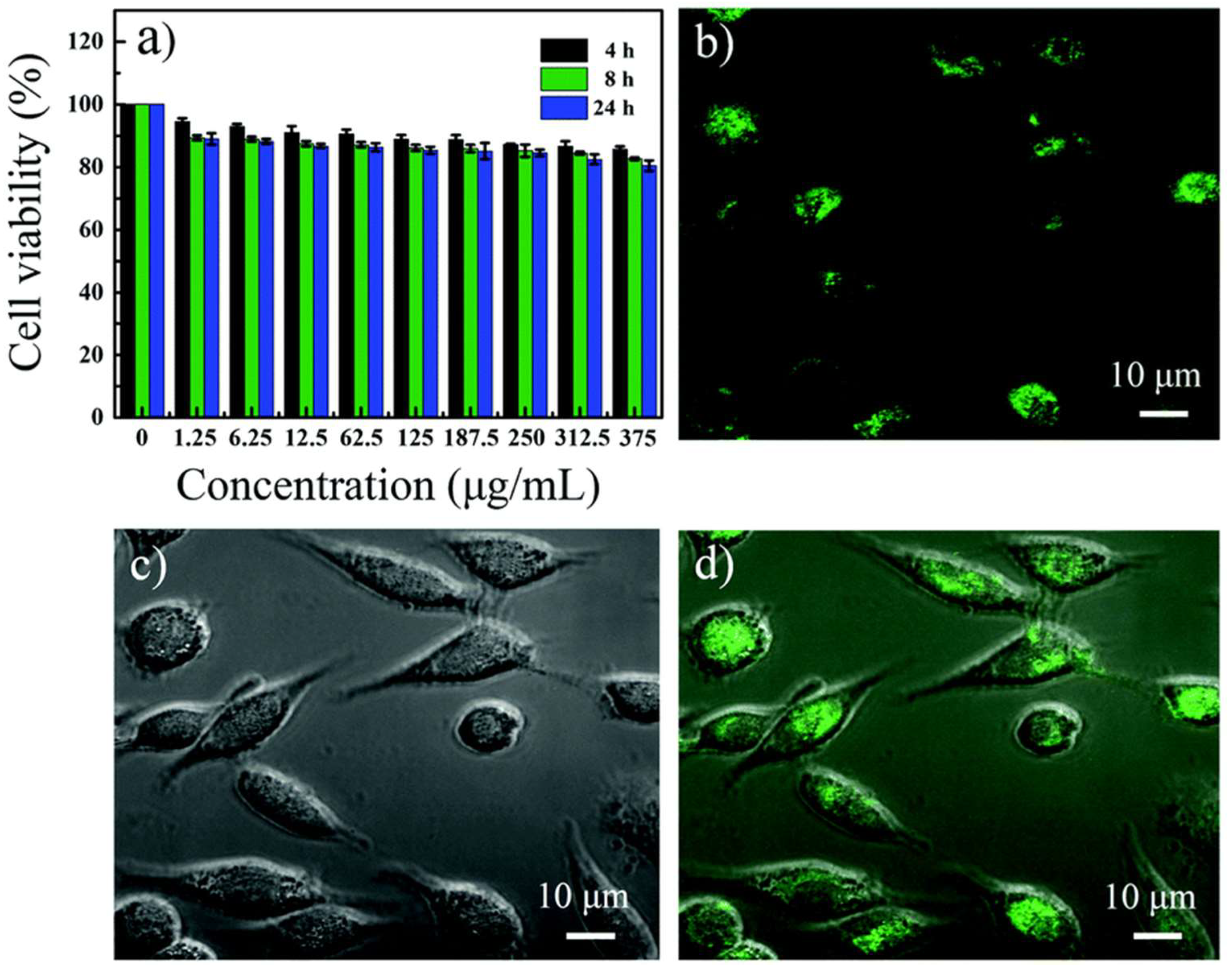 Molecules 27 02822 g012