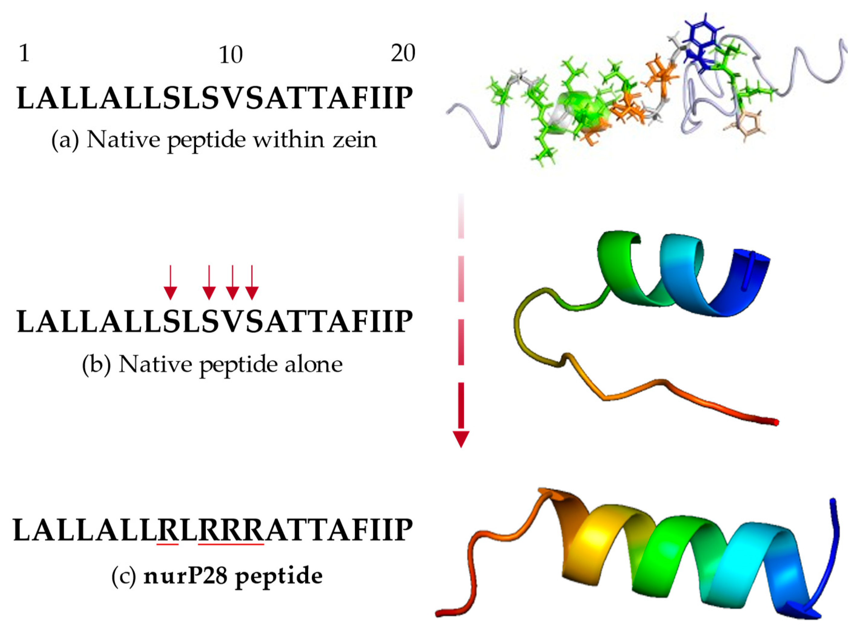 Molecules 27 02824 g001