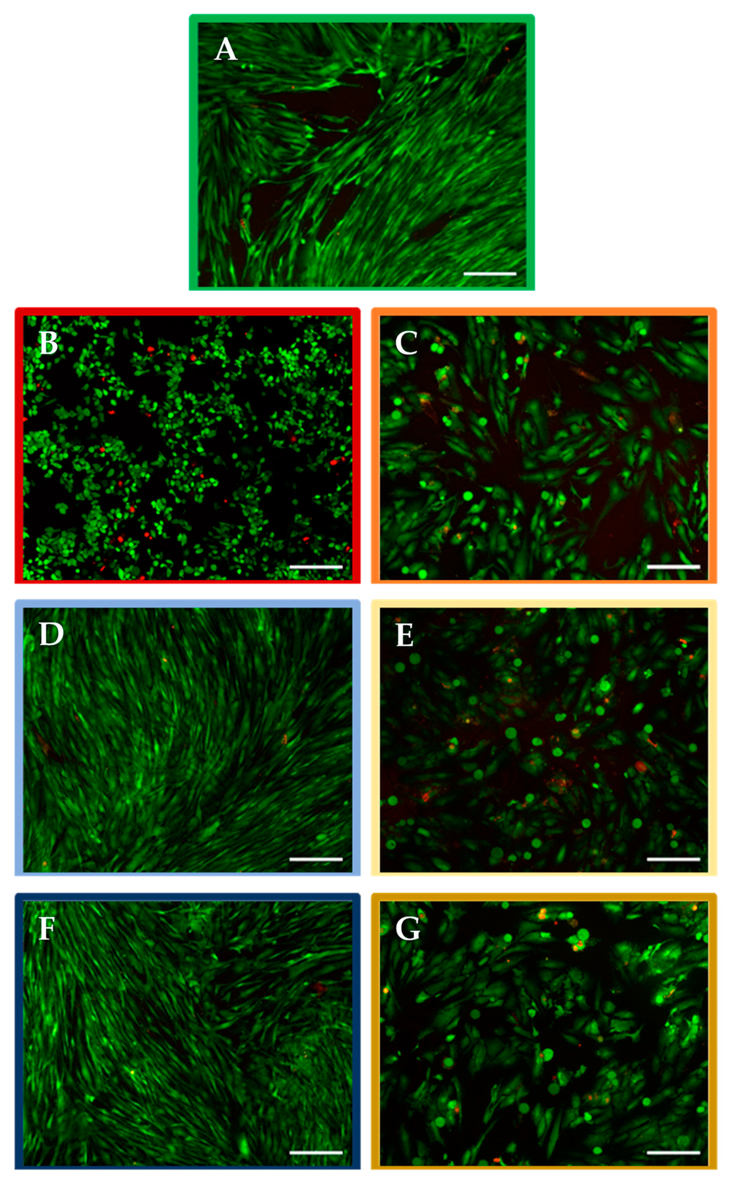 Molecules 27 02824 g002