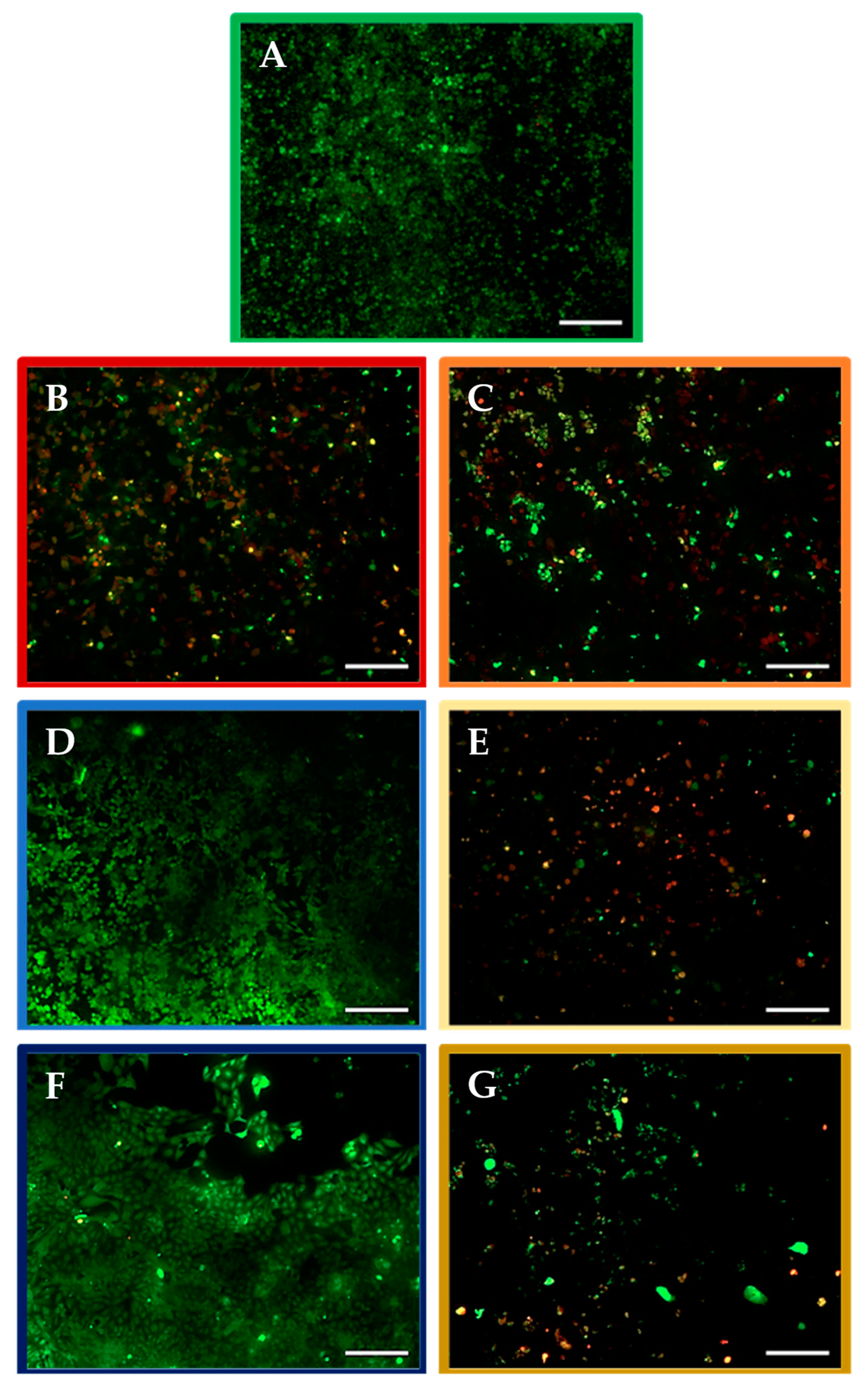Molecules 27 02824 g004