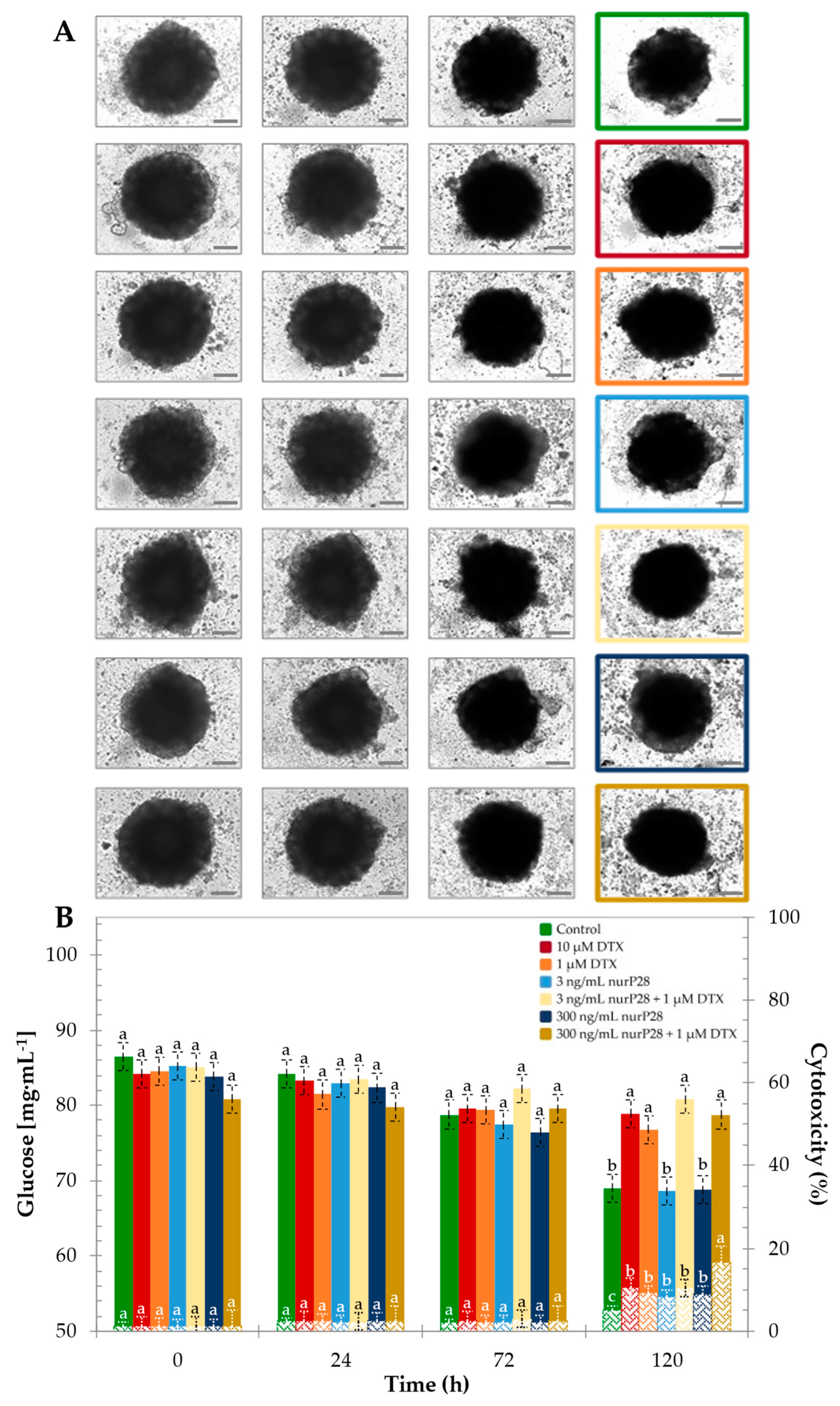 Molecules 27 02824 g006