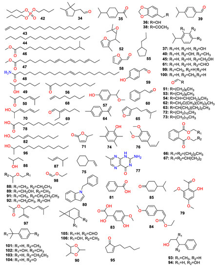 パイン 桜坂 乃木坂46の5期生びいき on X: