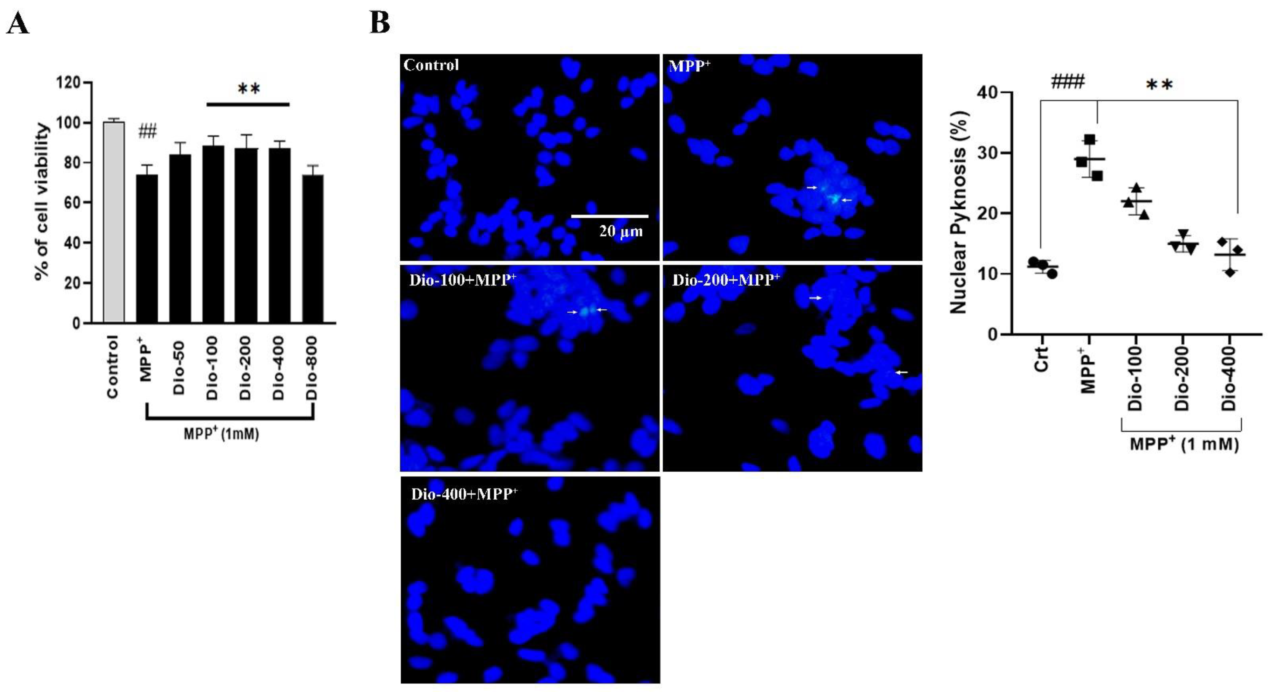 Molecules 27 02827 g002