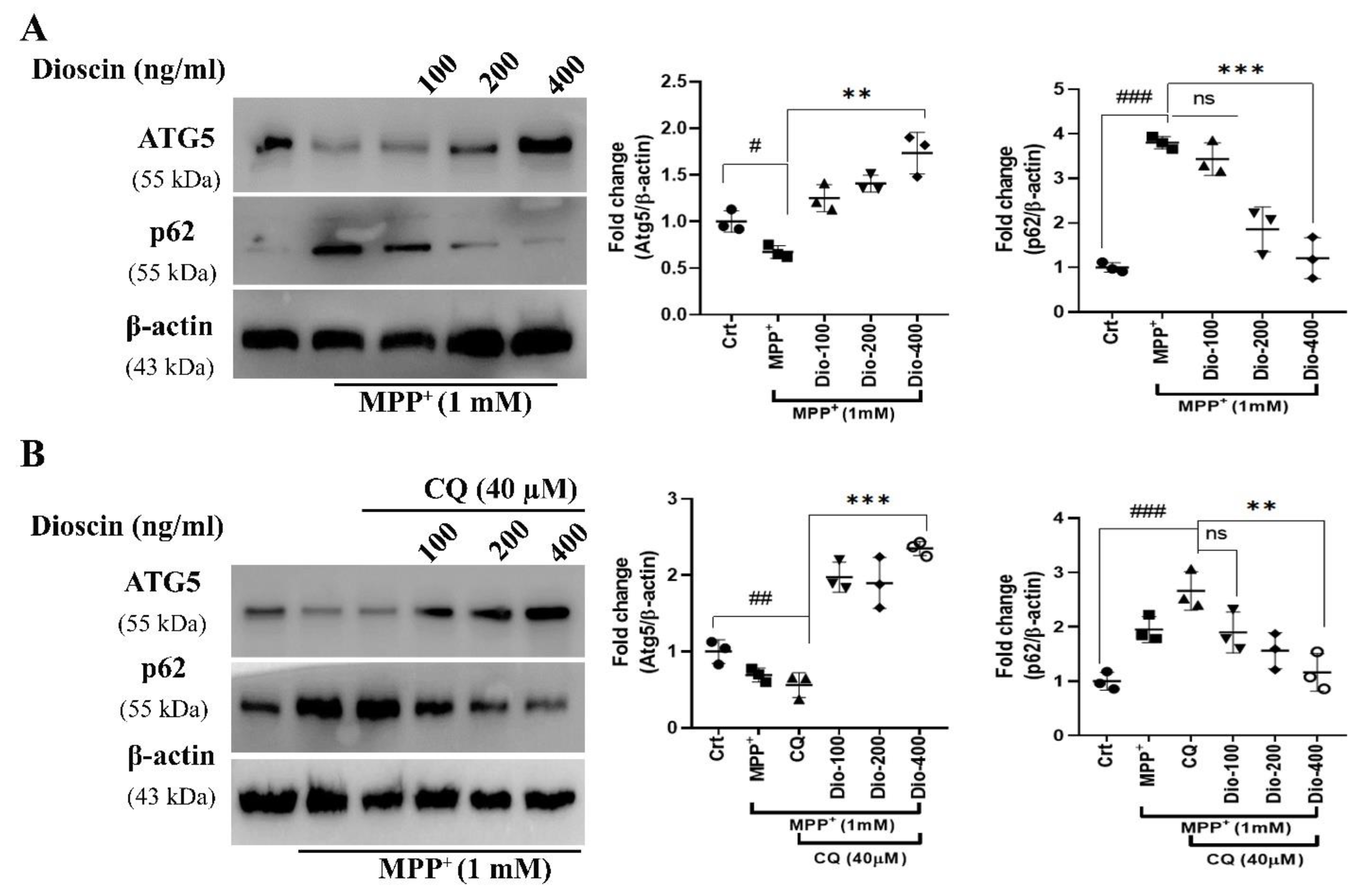 Molecules 27 02827 g005