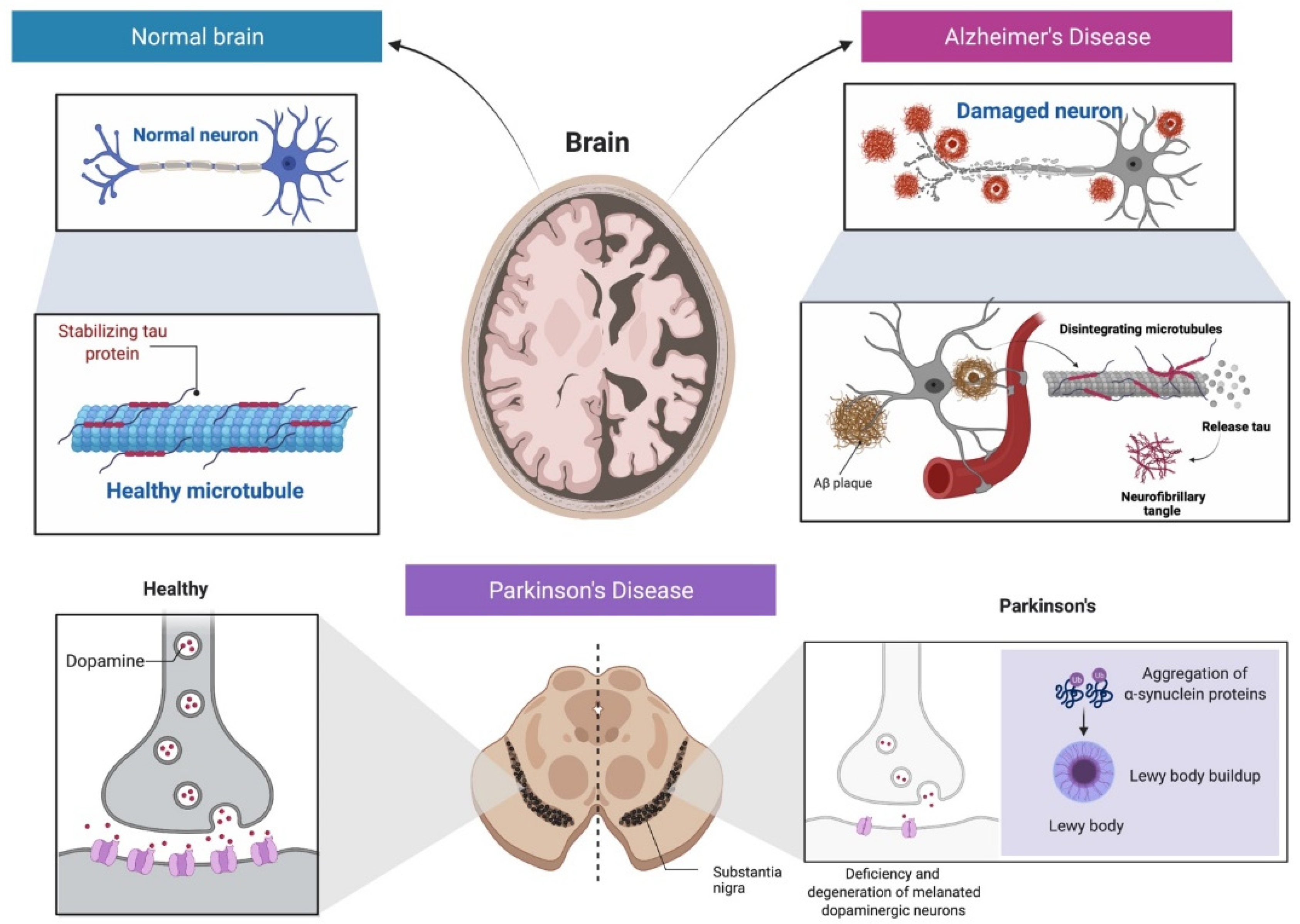 Molecules 27 02834 g001