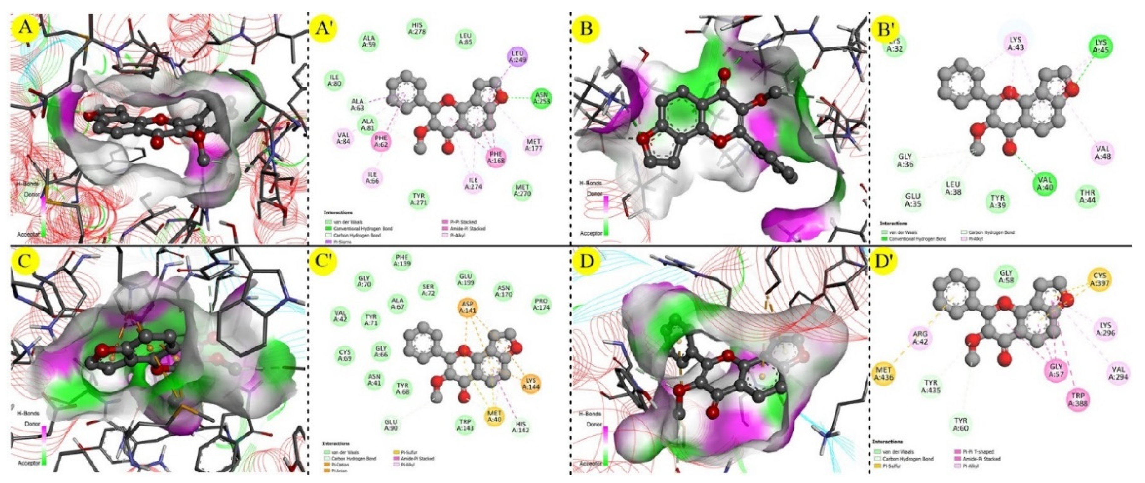Molecules 27 02834 g004
