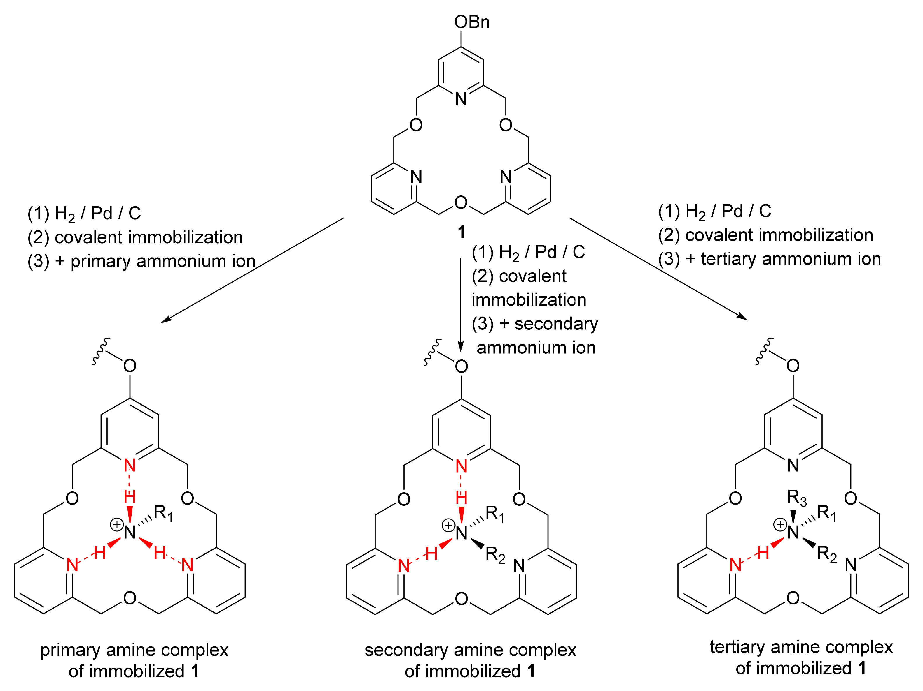 Molecules 27 02838 g002 550