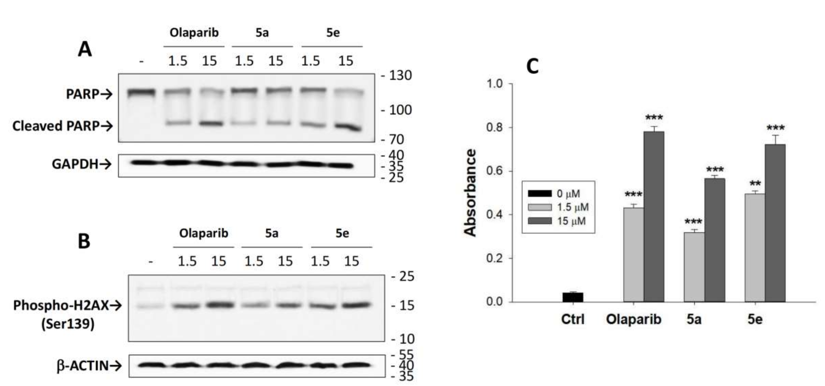 Molecules 27 02848 g003 550