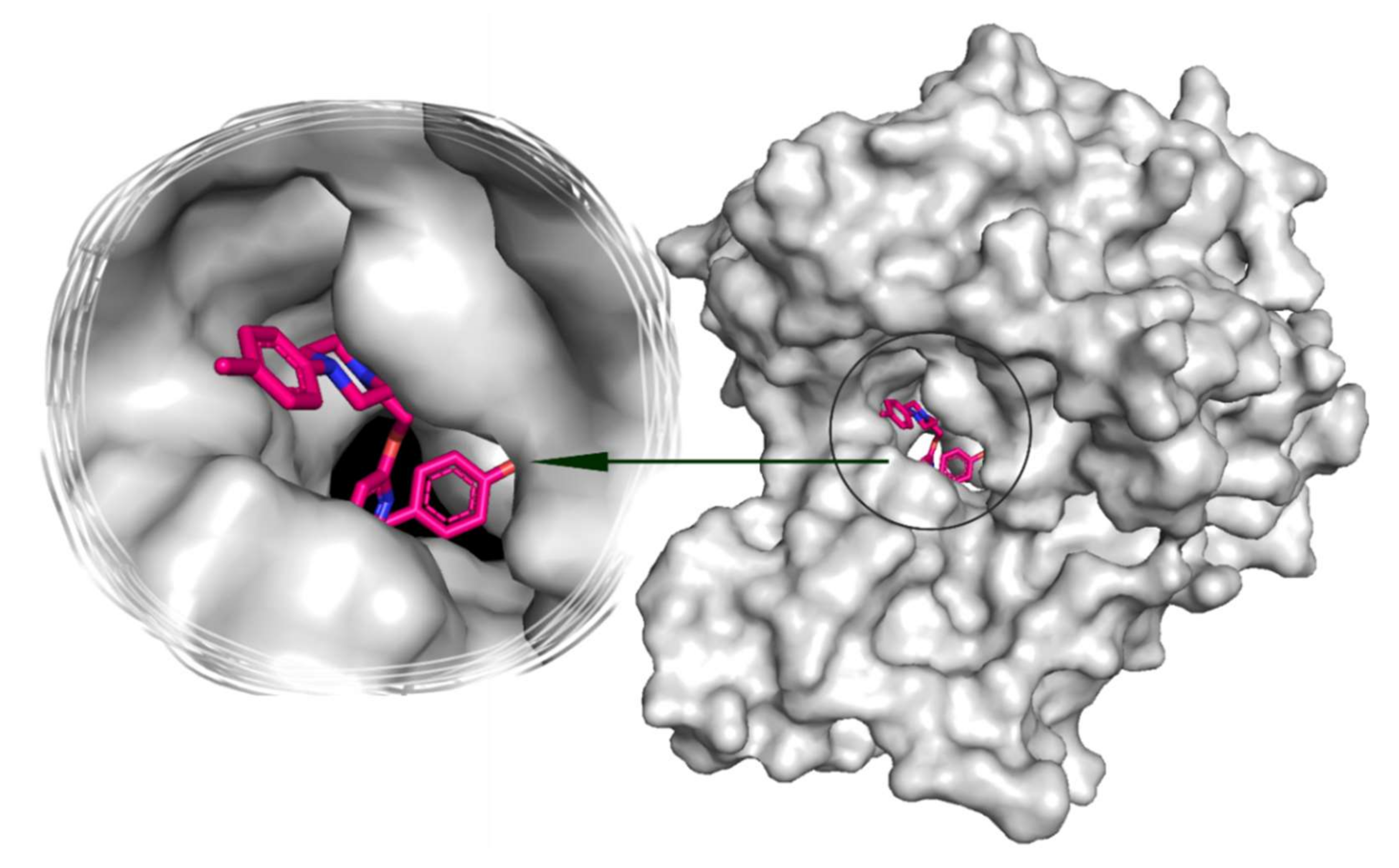 Molecules 27 02848 g007 550