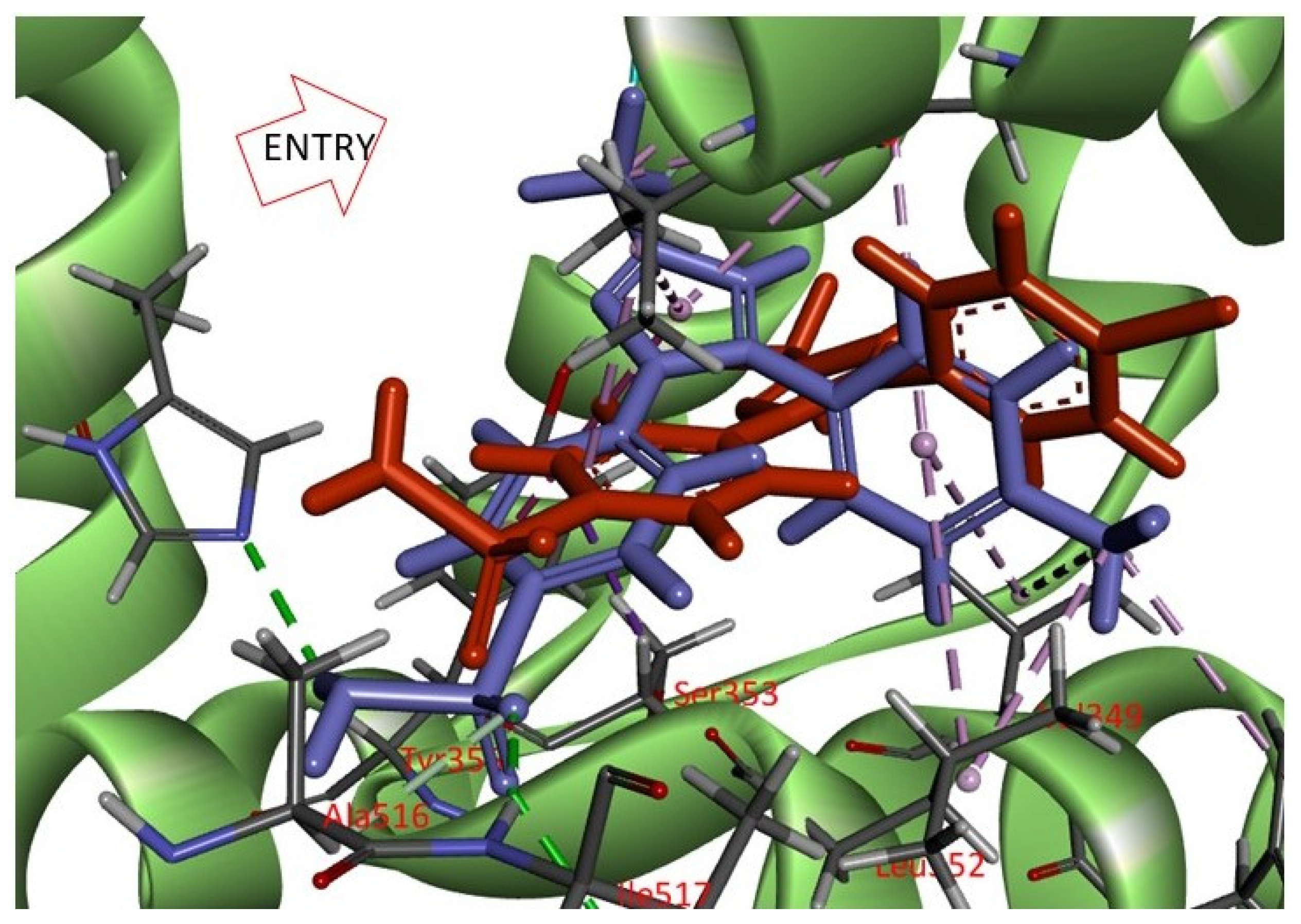 Molecules 27 02850 g012 550