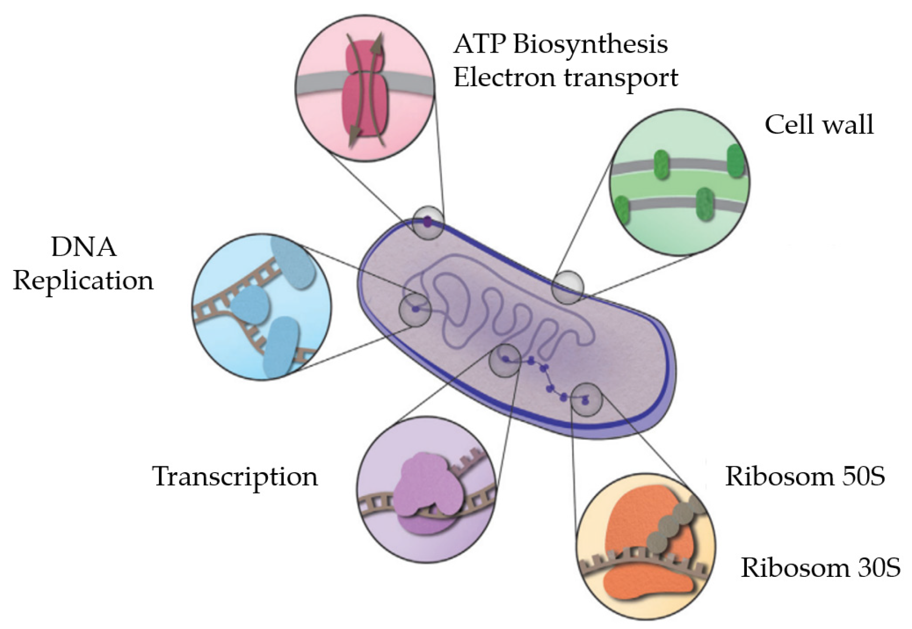 Molecules 27 02861 g003