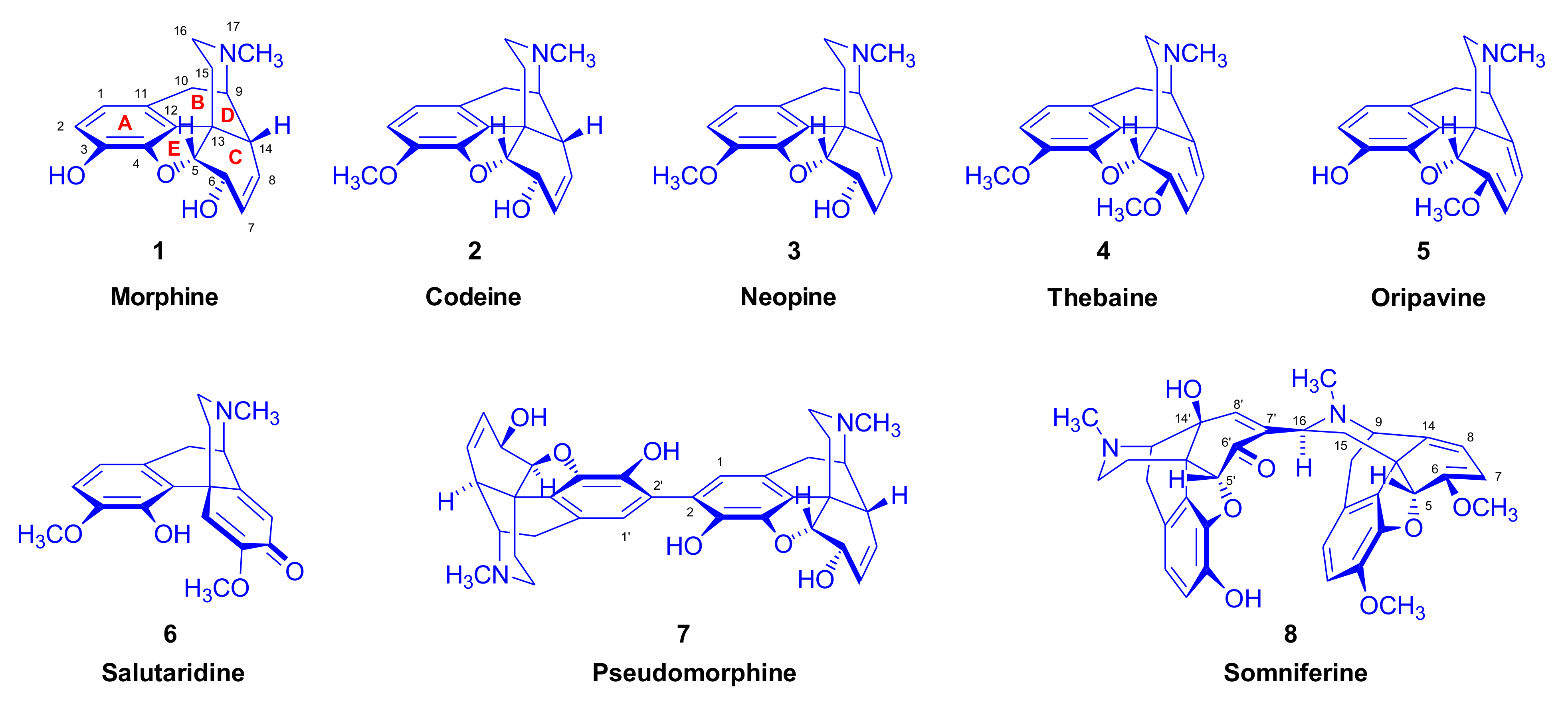 Molecules 27 02863 g001