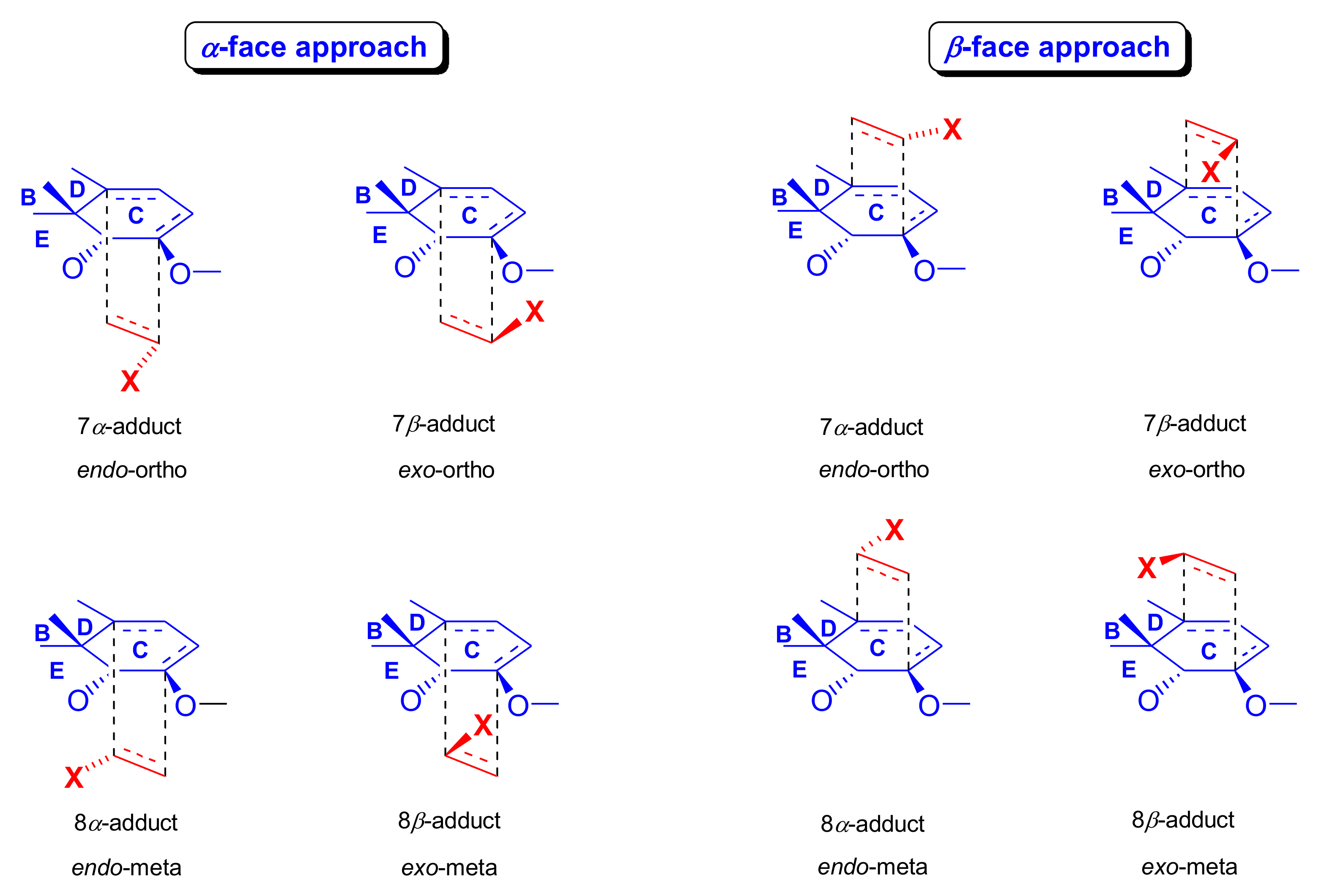 Molecules 27 02863 g003