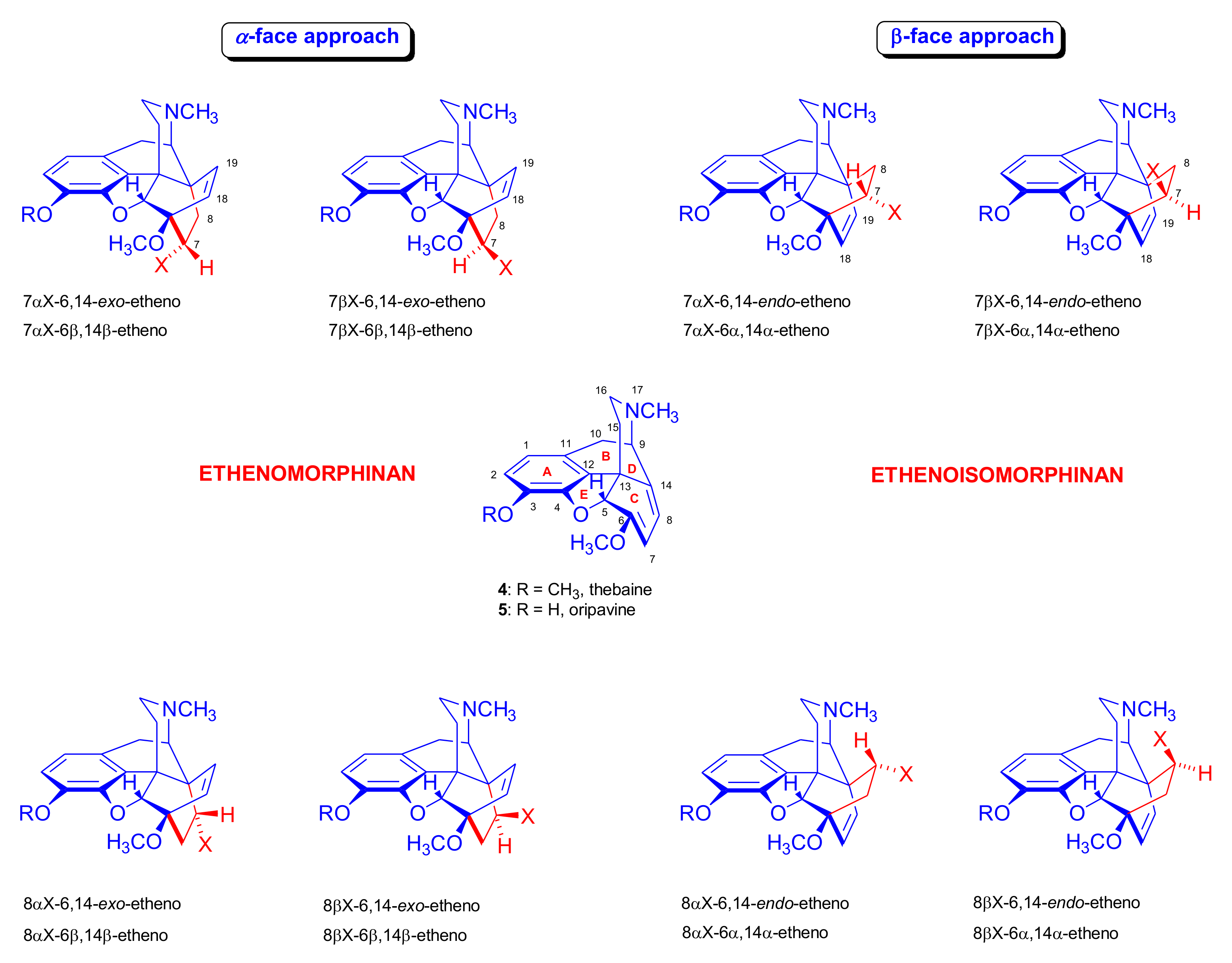 Molecules 27 02863 g004