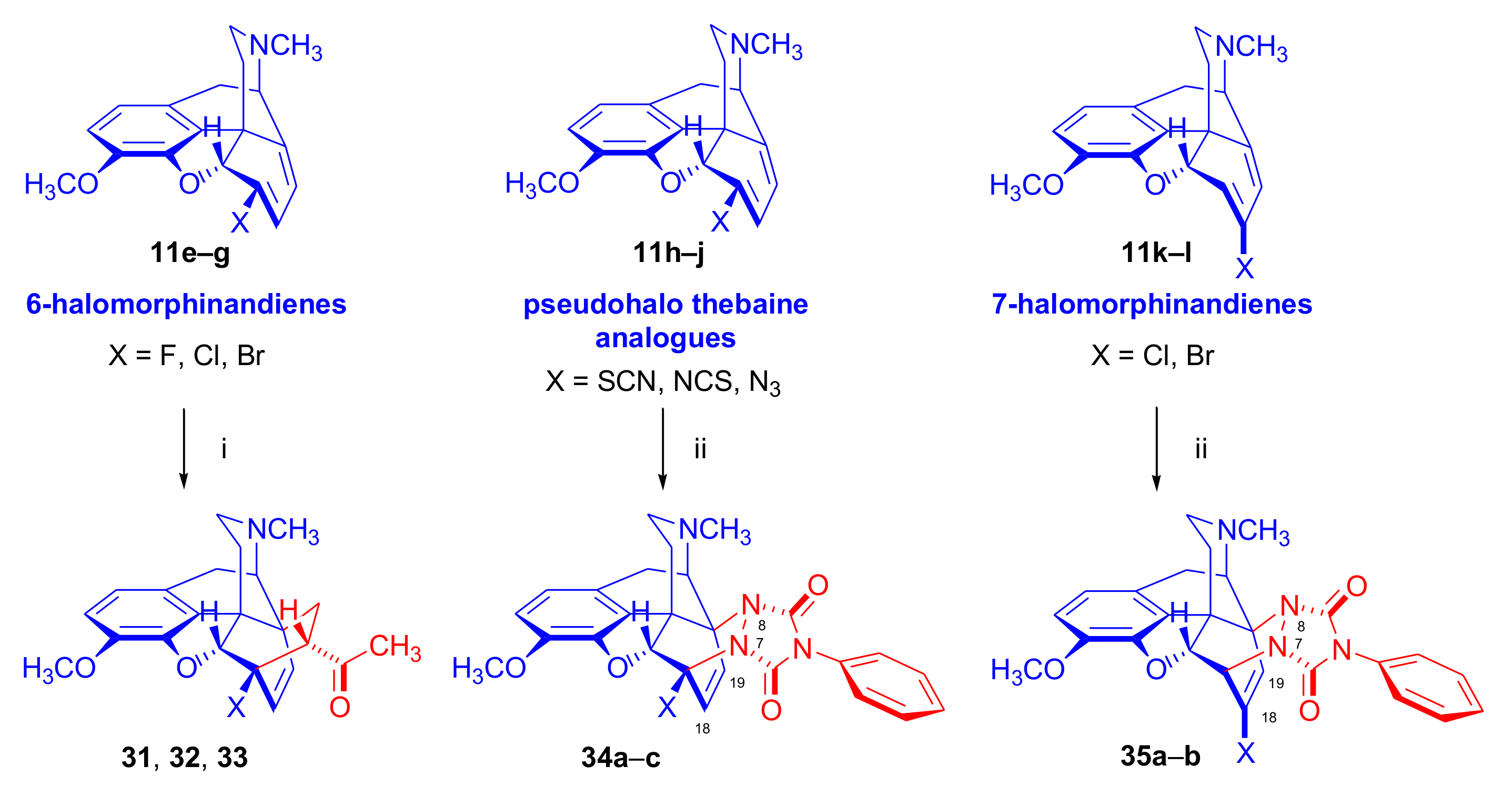 Molecules 27 02863 g012