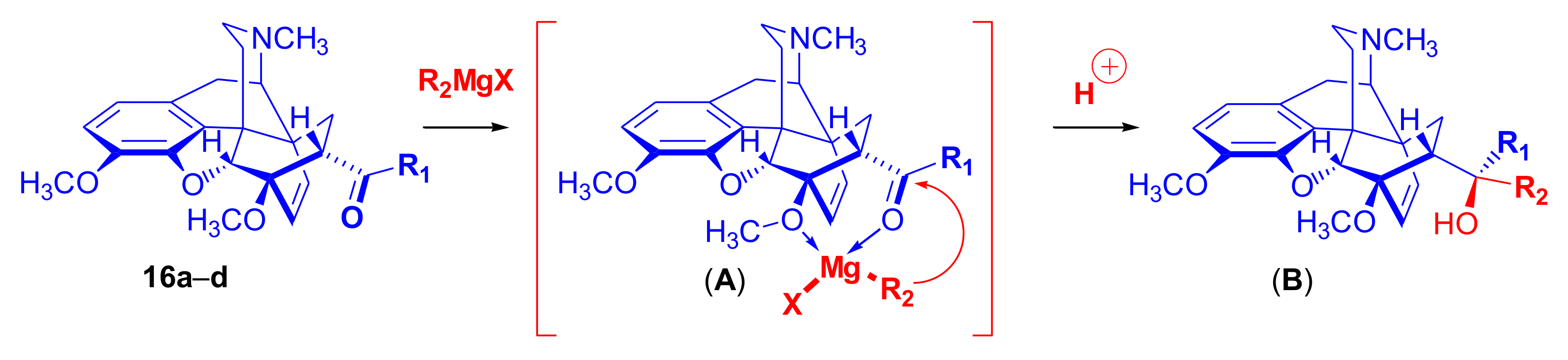 Molecules 27 02863 g027