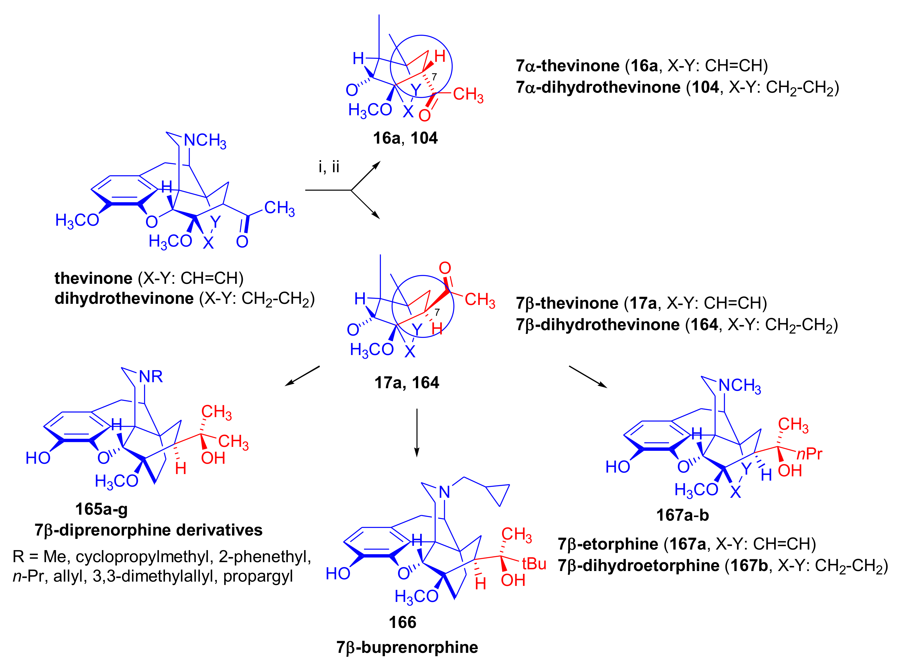 Molecules 27 02863 g043