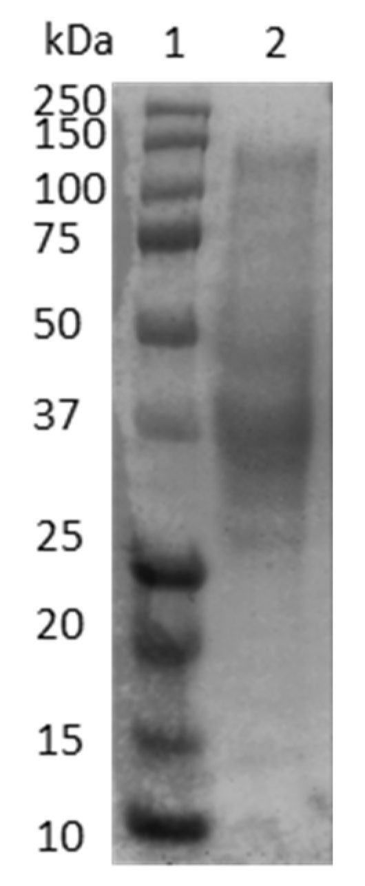 Molecules 27 02867 g001