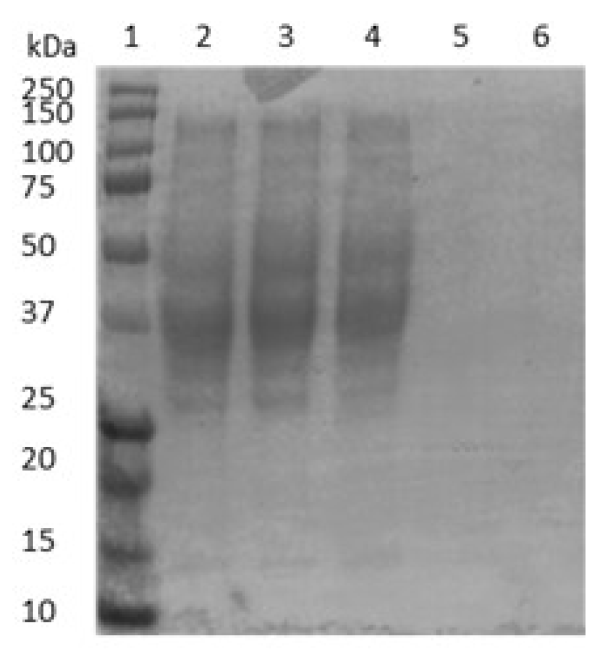 Molecules 27 02867 g004